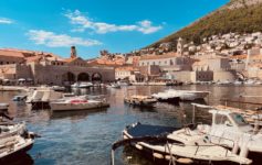 boats in a harbor with buildings and boats