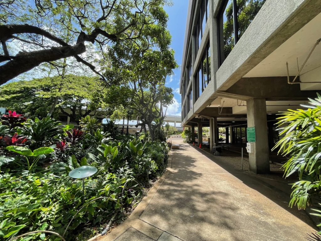 The Beautiful Gardens Of Honolulu Airport Live and Let's Fly
