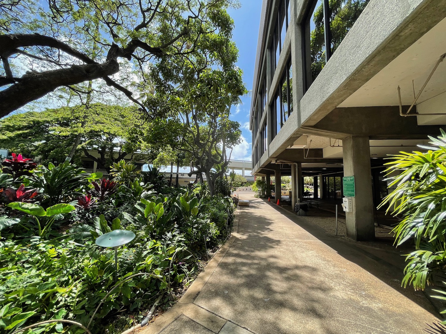 a building with trees and plants