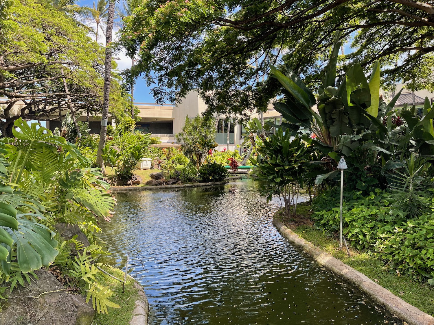 a pond with trees and plants around it