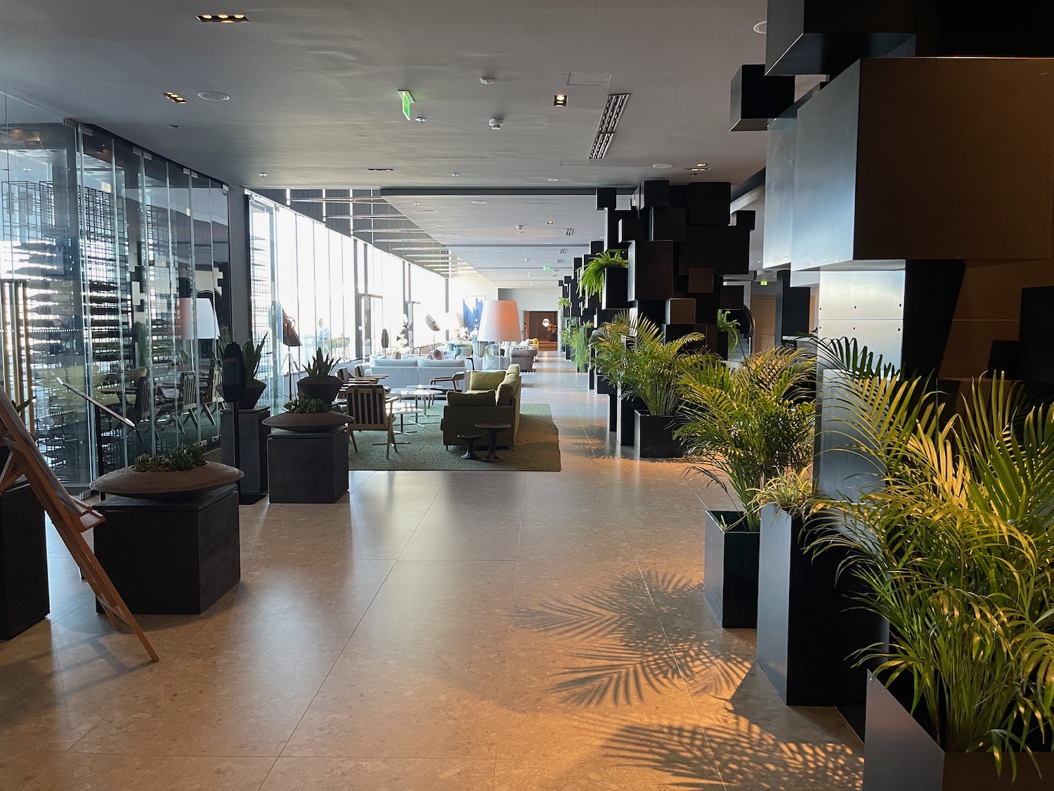 a room with plants in pots