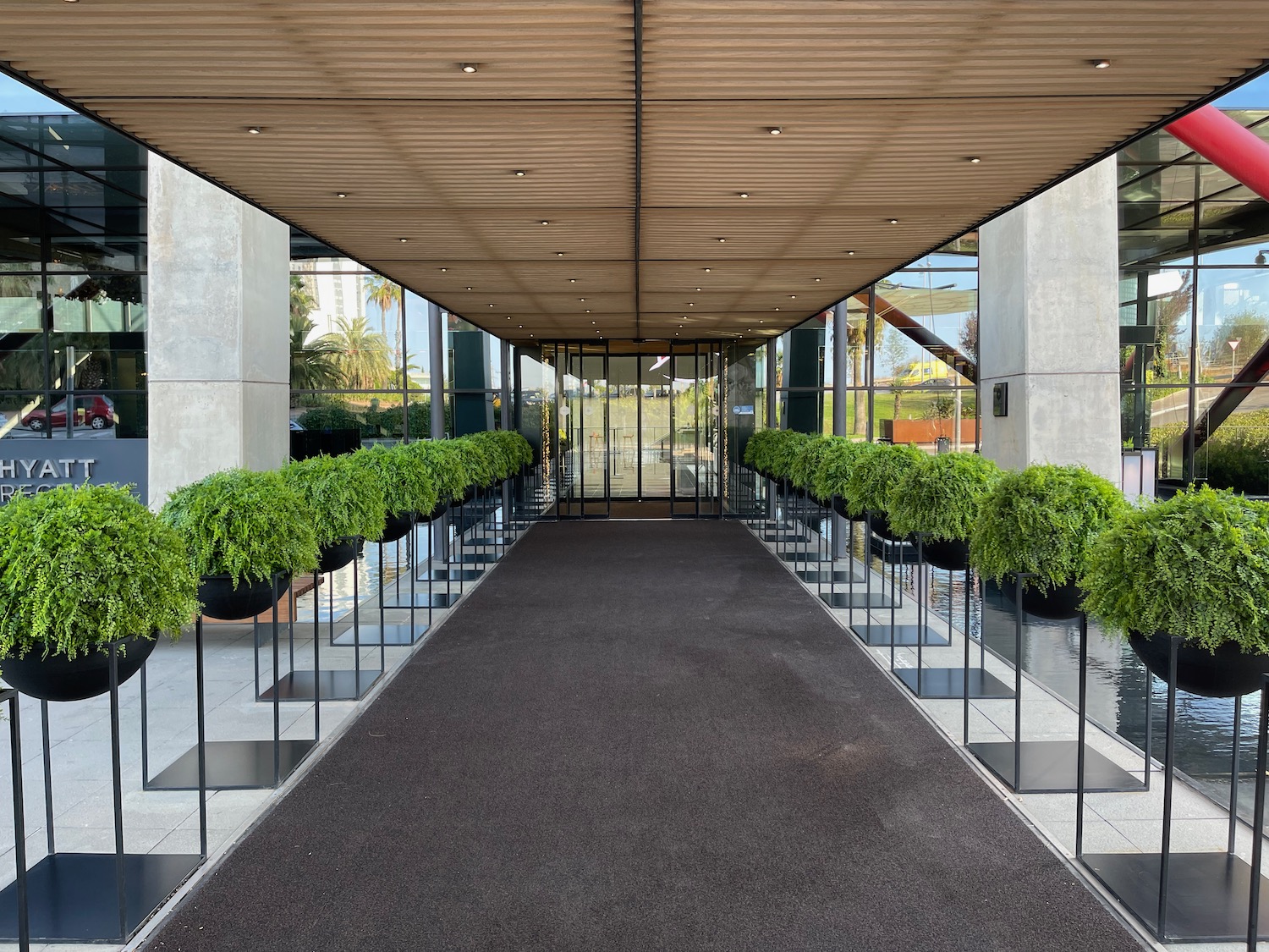 a walkway with plants in pots