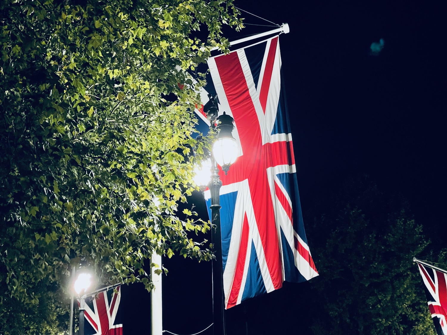 a flag on a pole