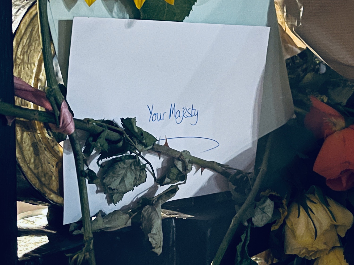 a white card with blue writing on it next to a dried rose