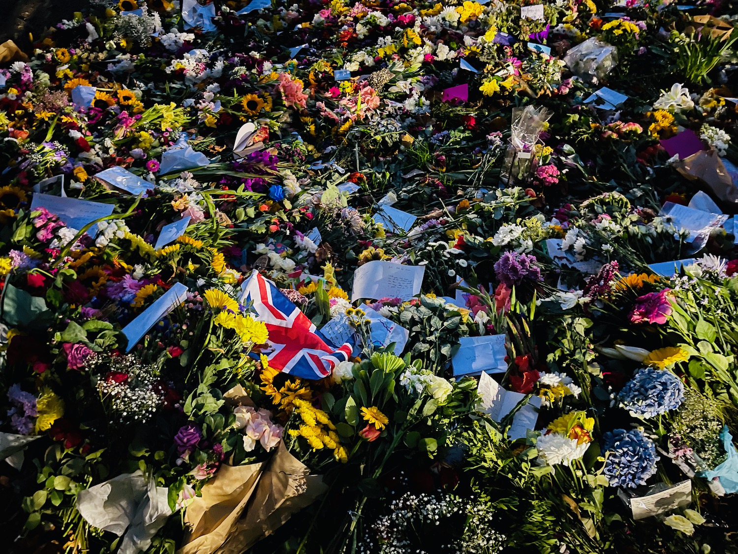 a large pile of flowers