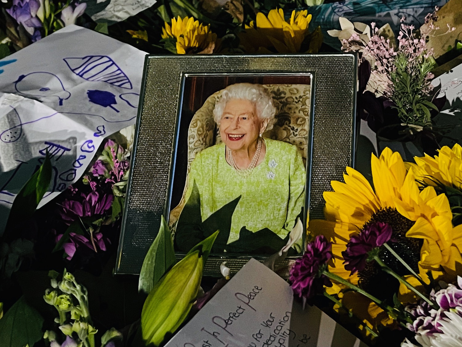 a picture of a woman in a frame surrounded by flowers