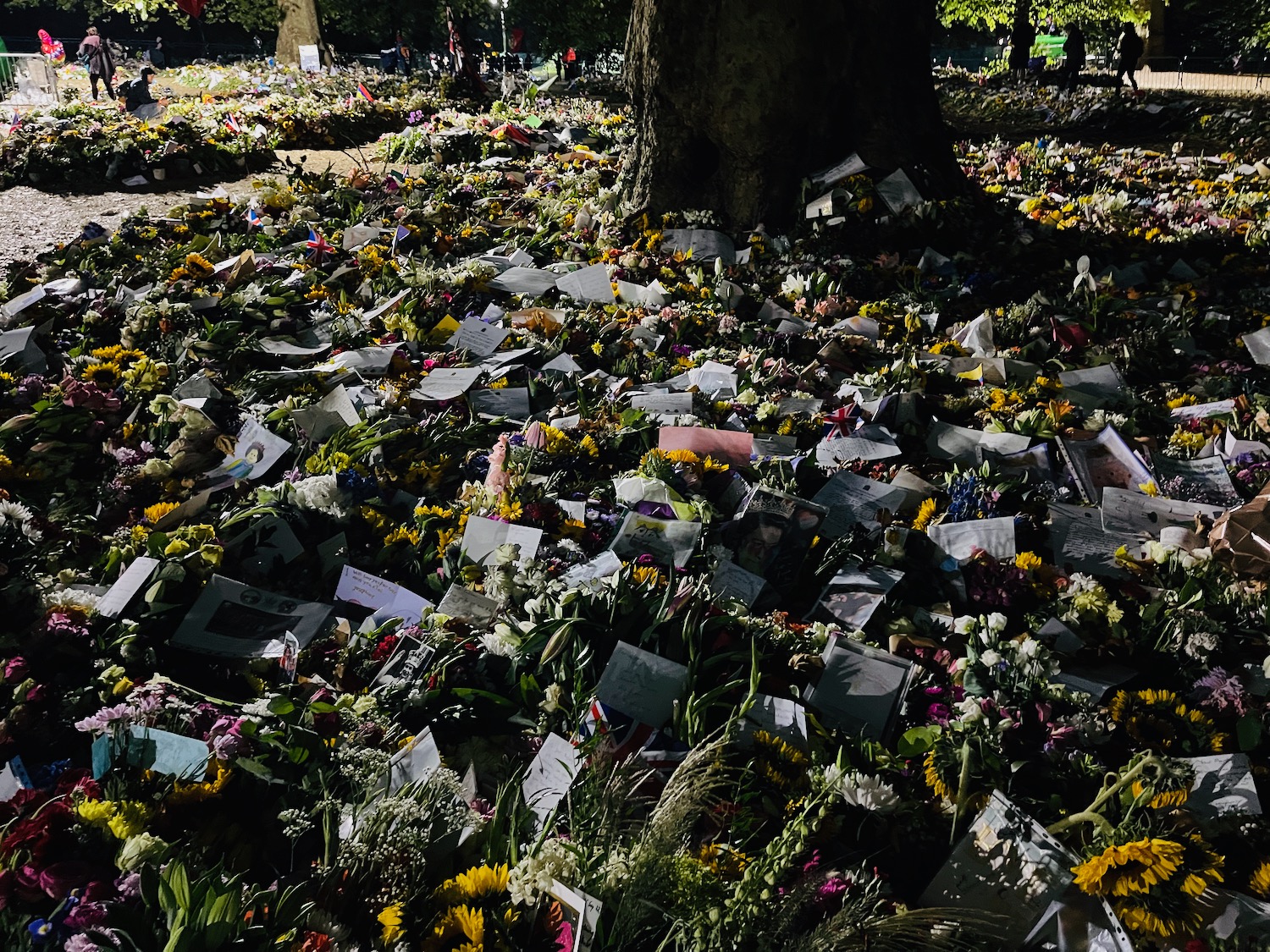 a tree with flowers and notes on it