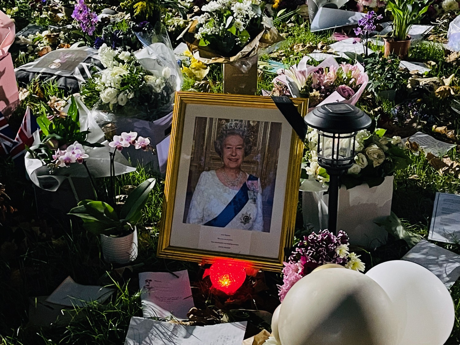 a picture of a woman in a picture frame surrounded by flowers