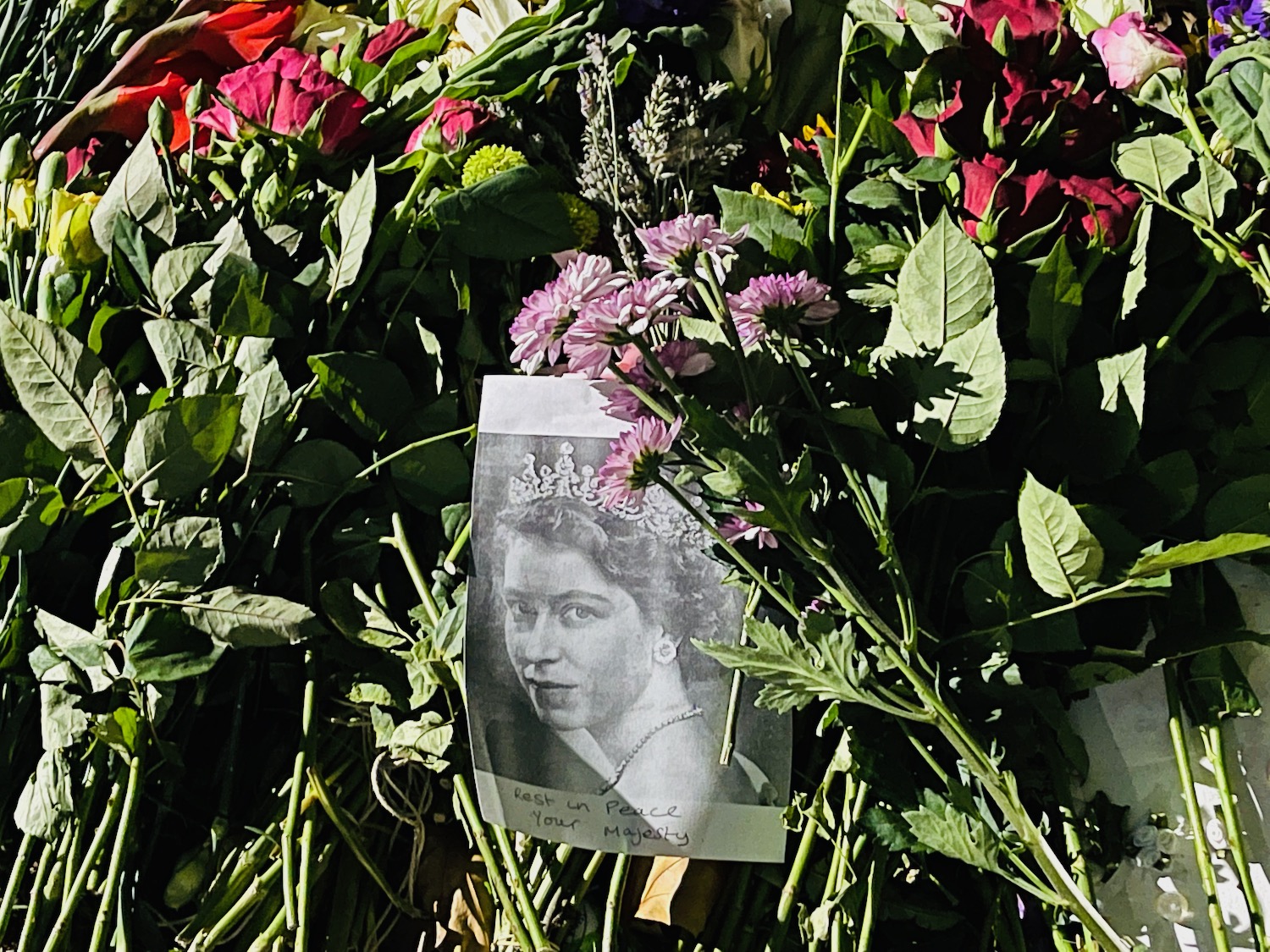 a picture of a woman with a crown on a pile of flowers