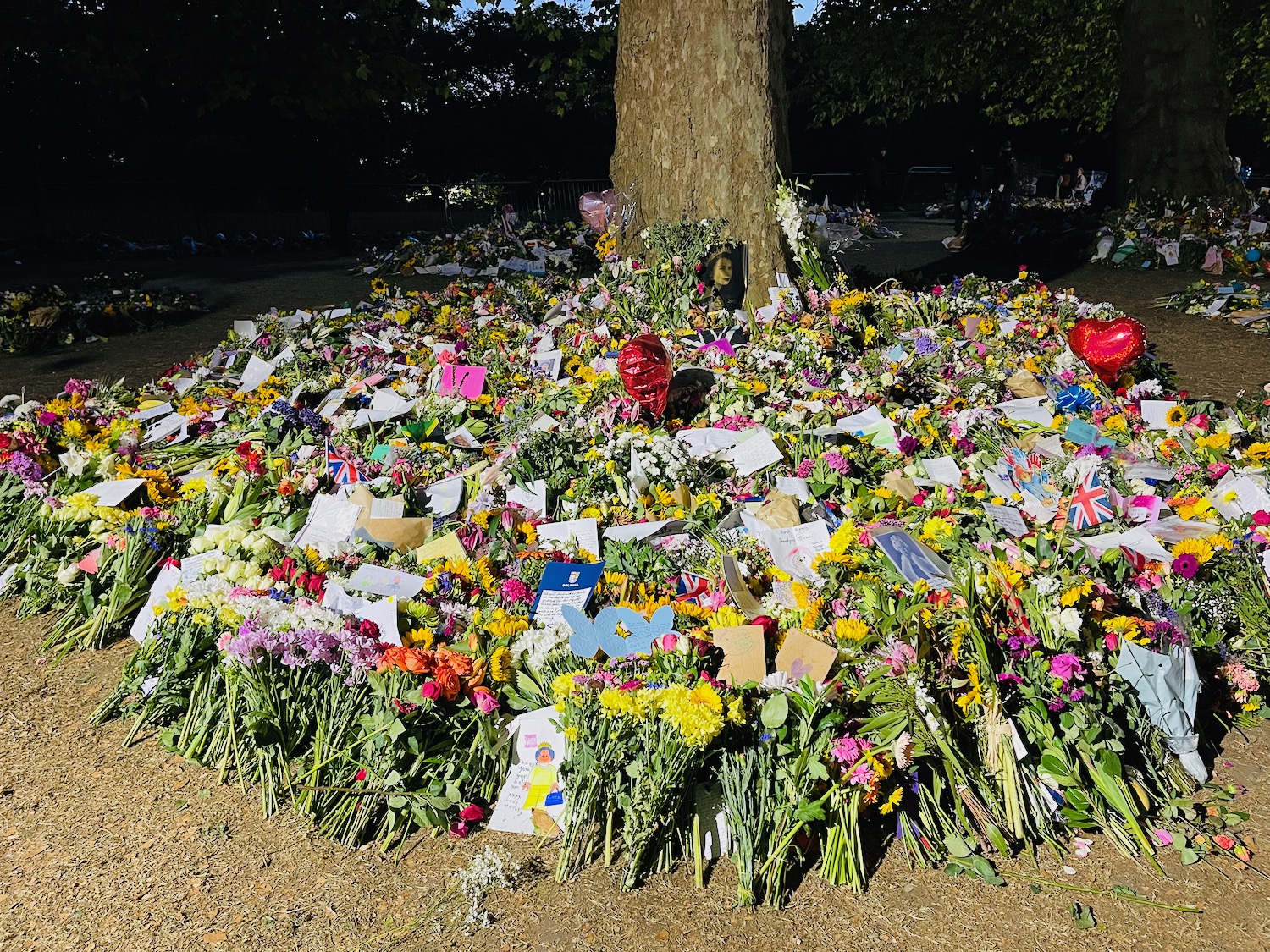 a pile of flowers and cards