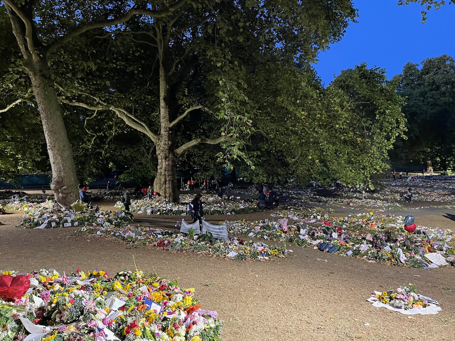 a group of people sitting on a path with flowers and trees