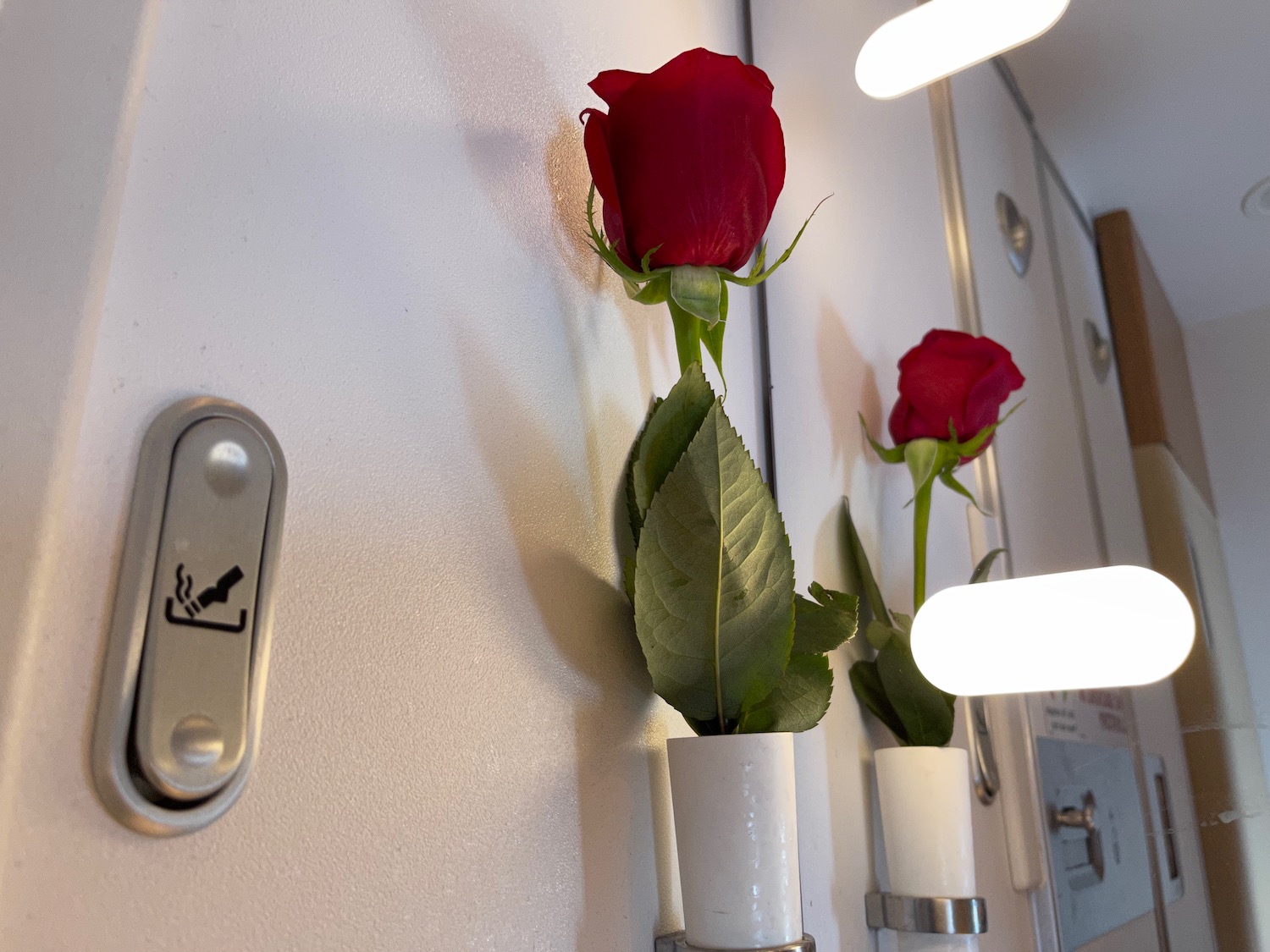 a red rose in white vases on a white wall