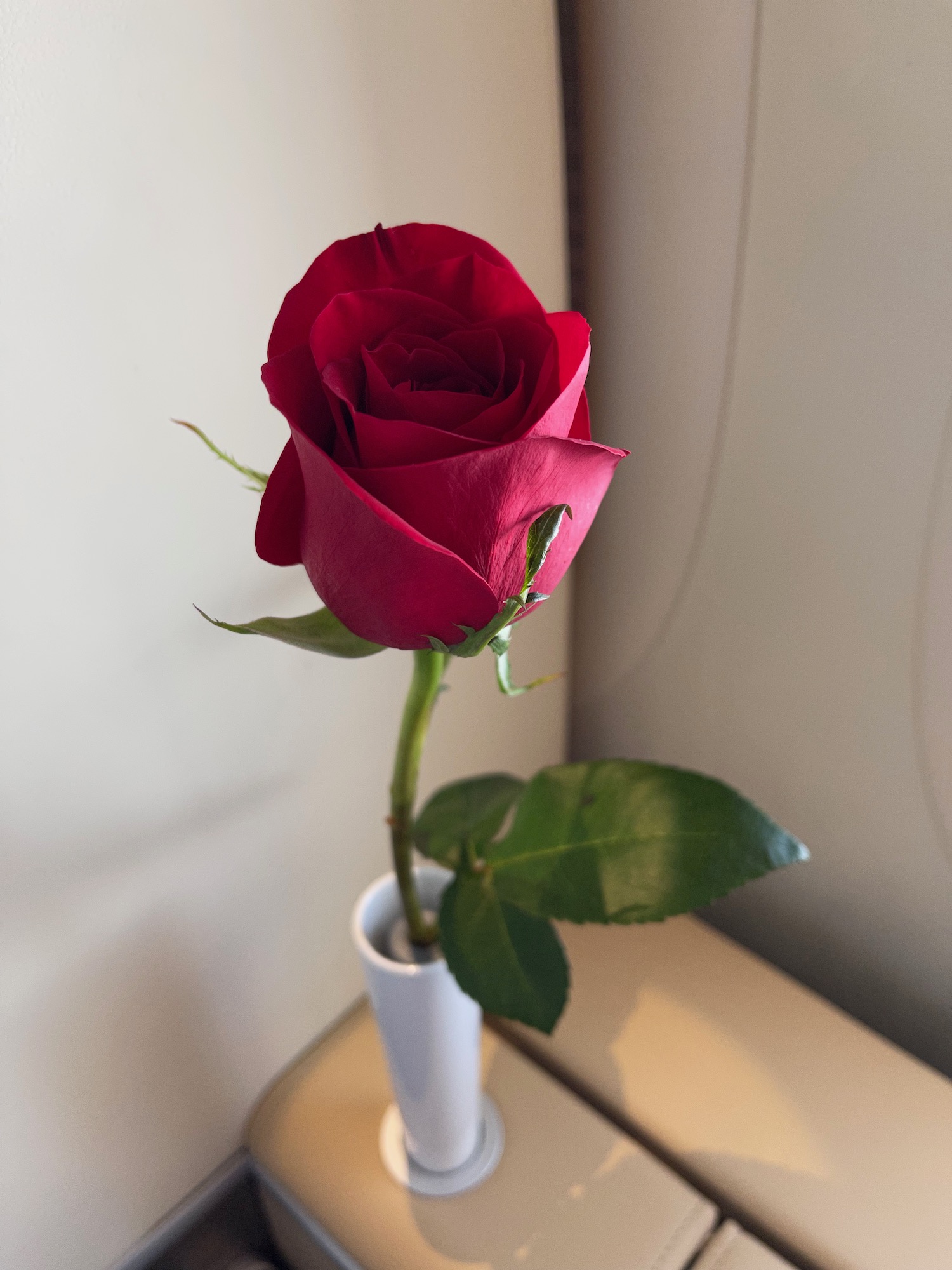 a red rose in a white vase