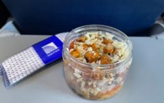 Southwest Chicken Salad Shaker United Airlines