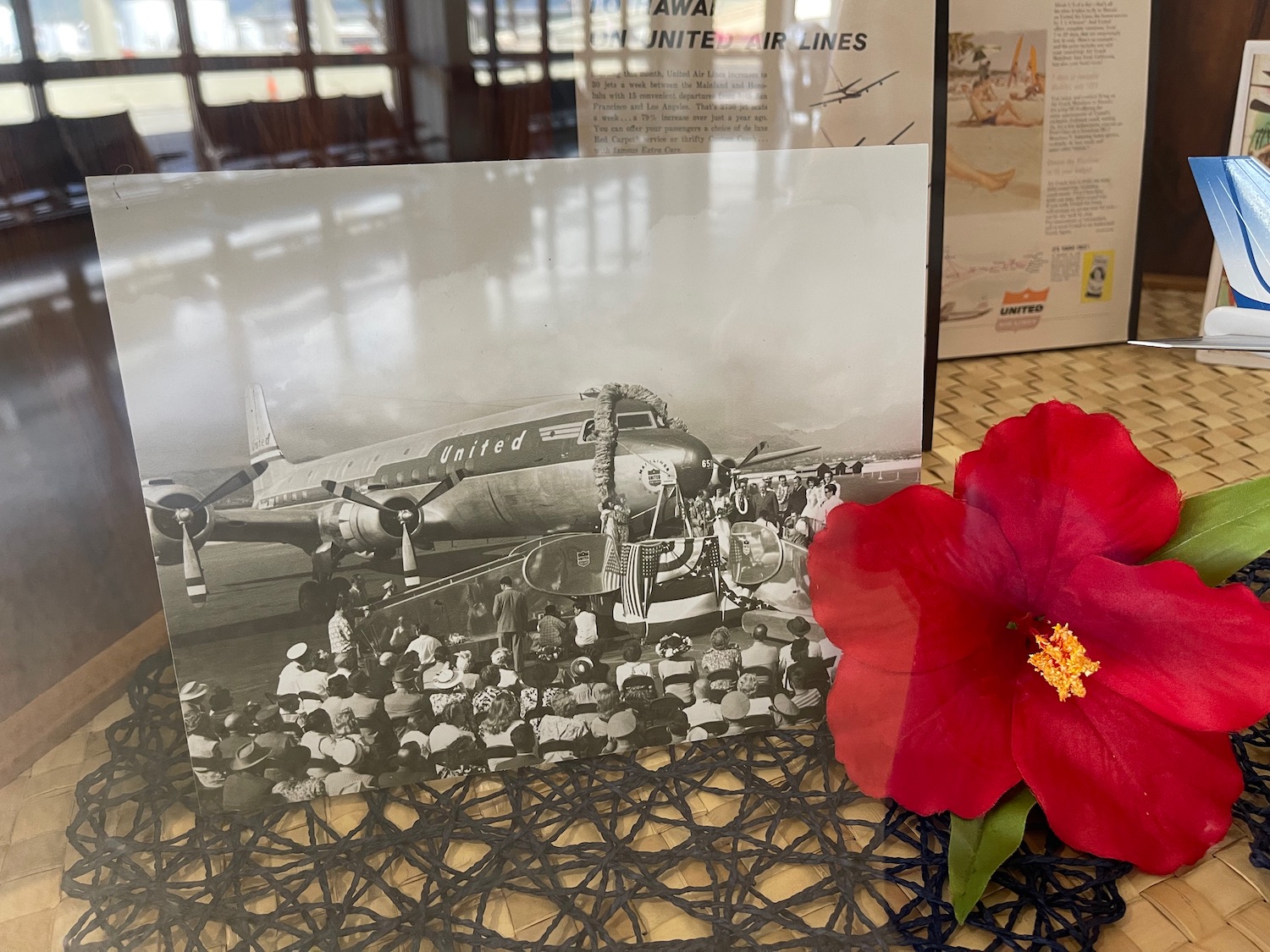 a picture of an airplane and a red flower