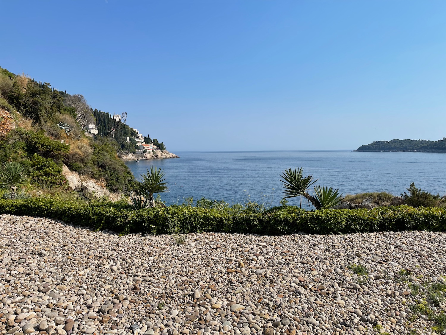 a rocky beach with a body of water and trees