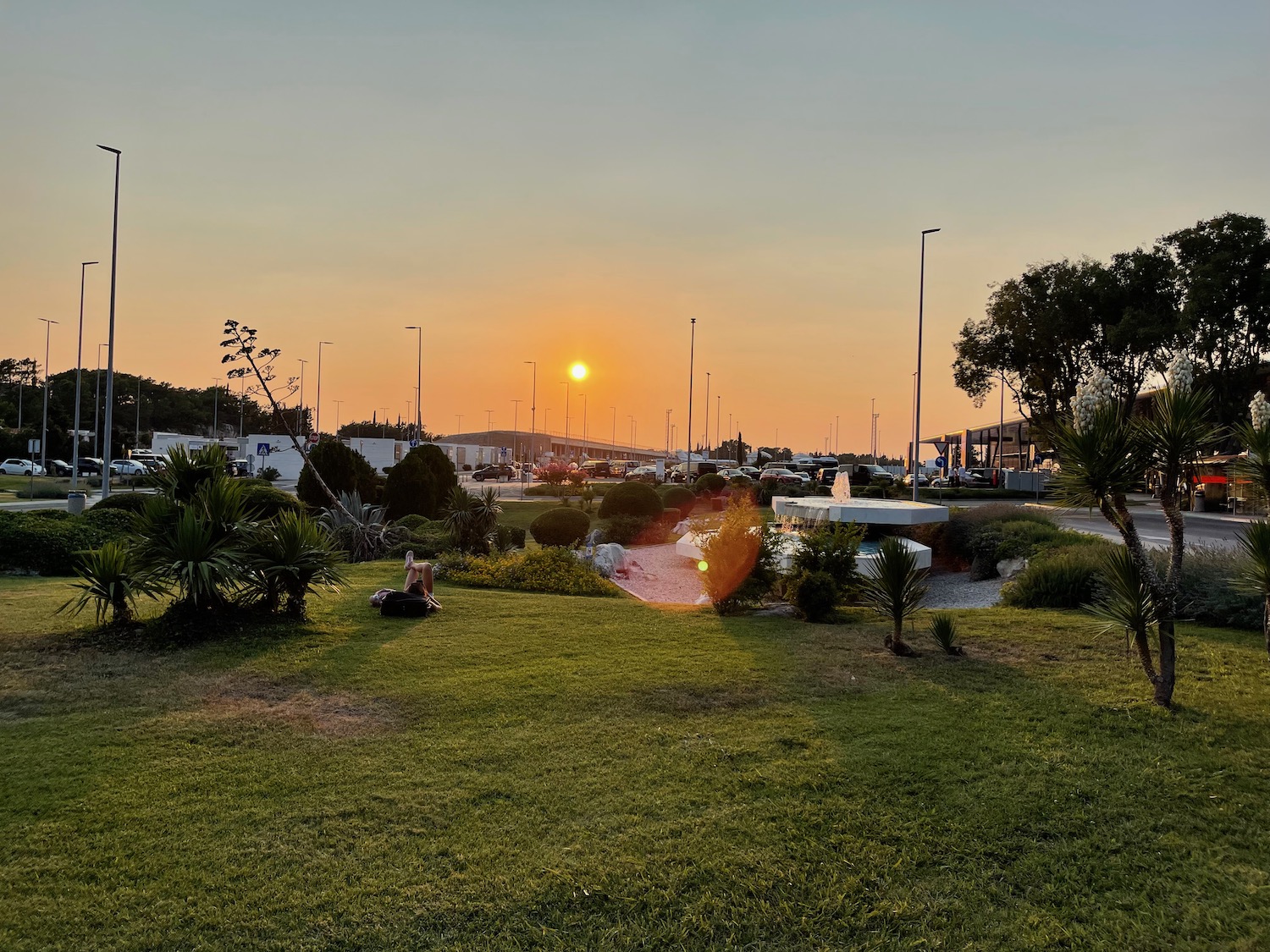 a sunset over a park