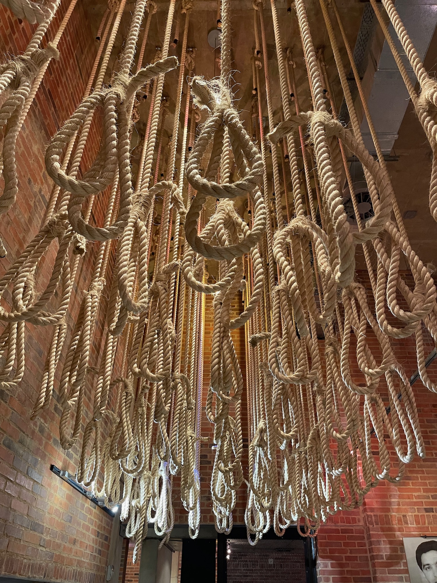 a group of ropes from a ceiling