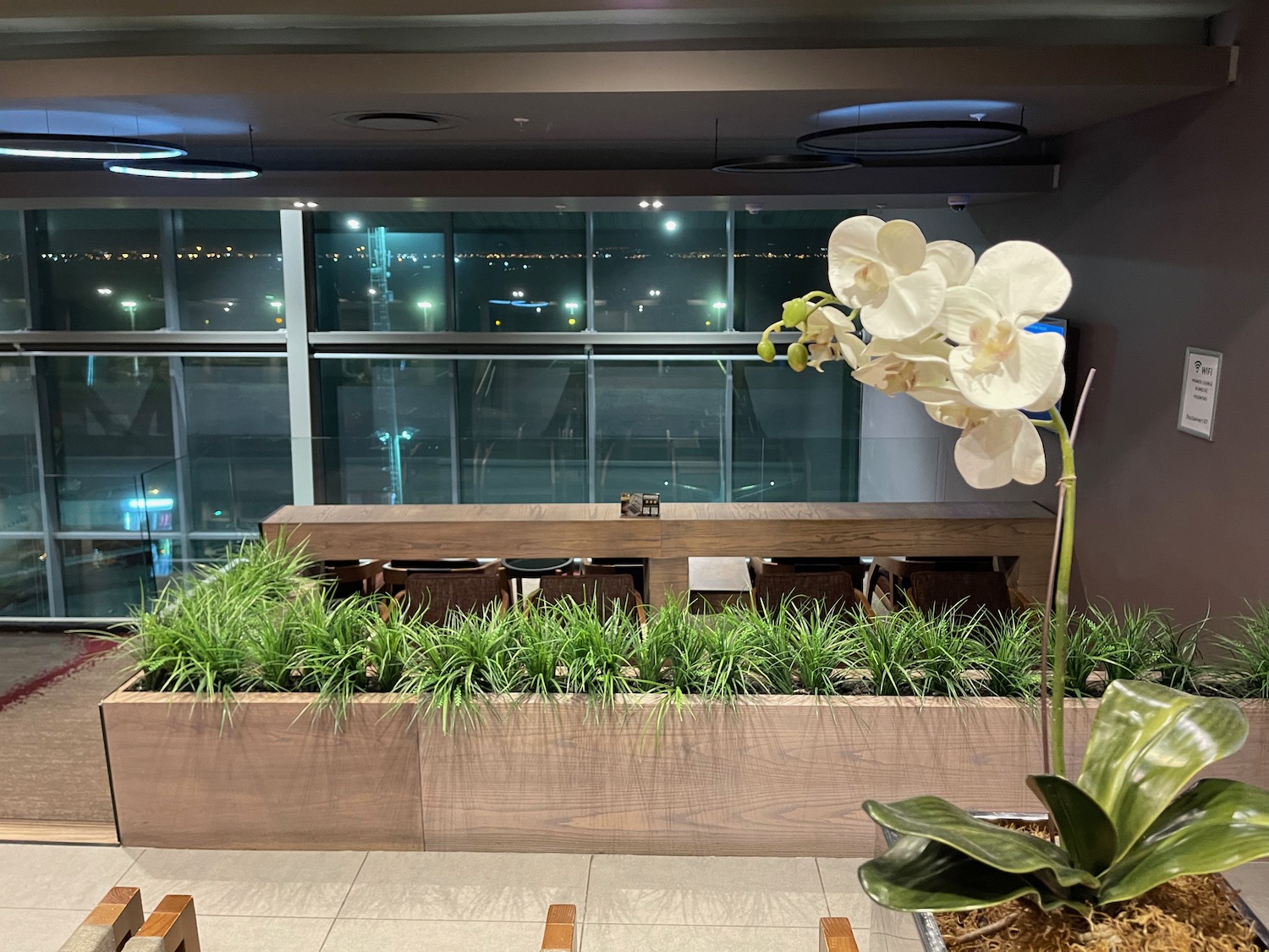 a planter with a white flower in it