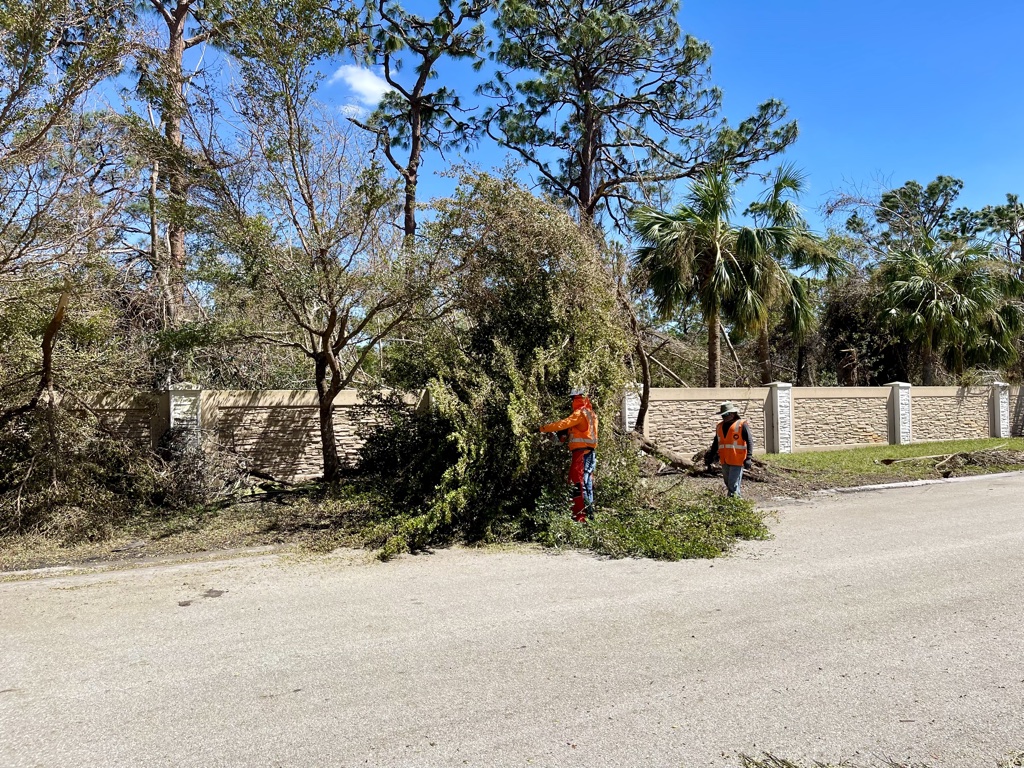 Fort Myers hurricane foliage