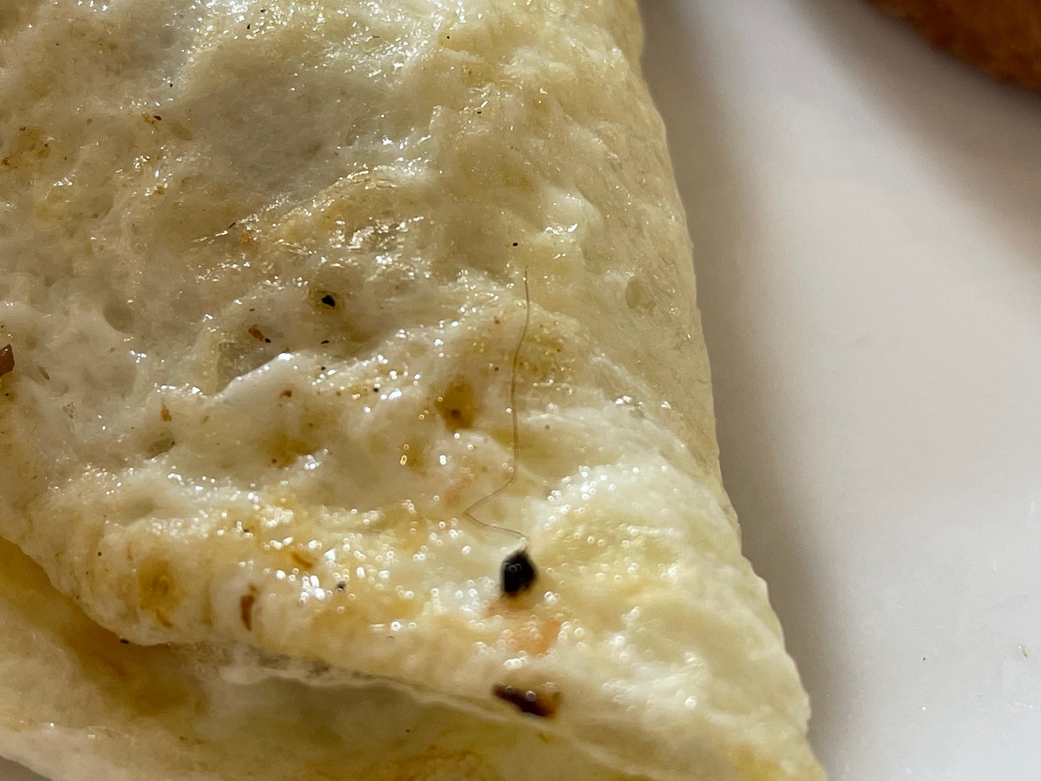 a close up of a burrito