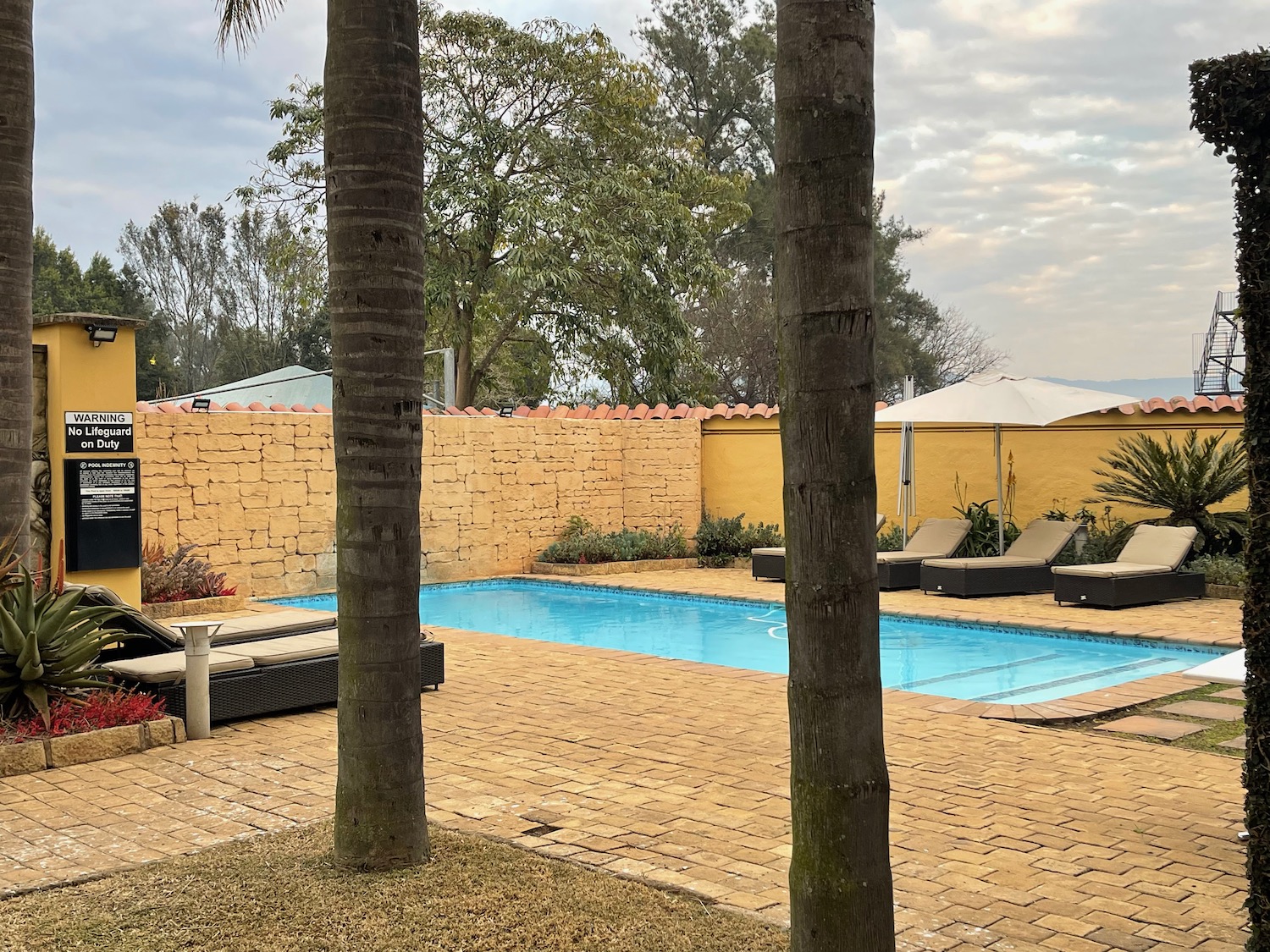 a pool with trees and chairs