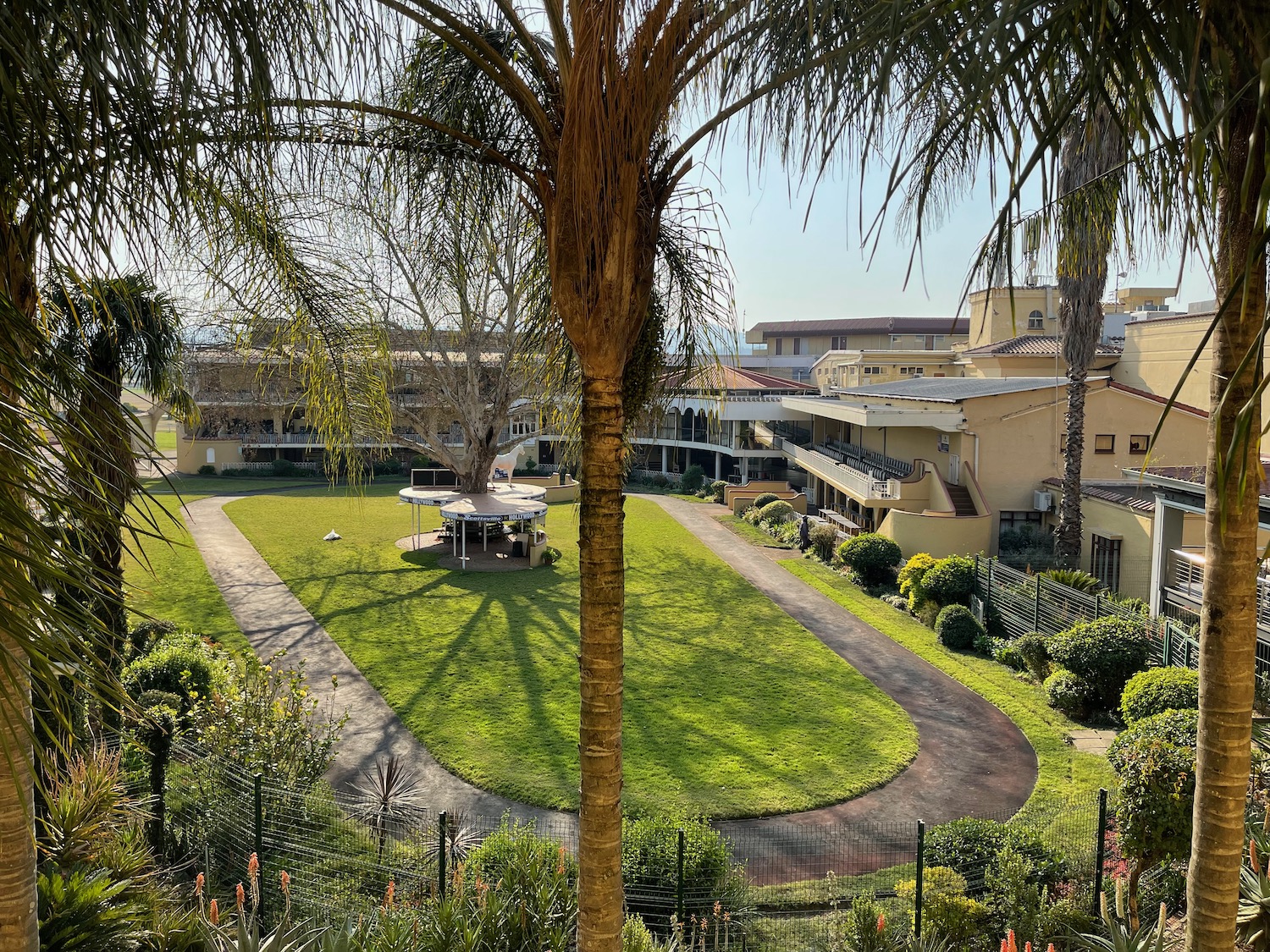 a palm tree and a courtyard