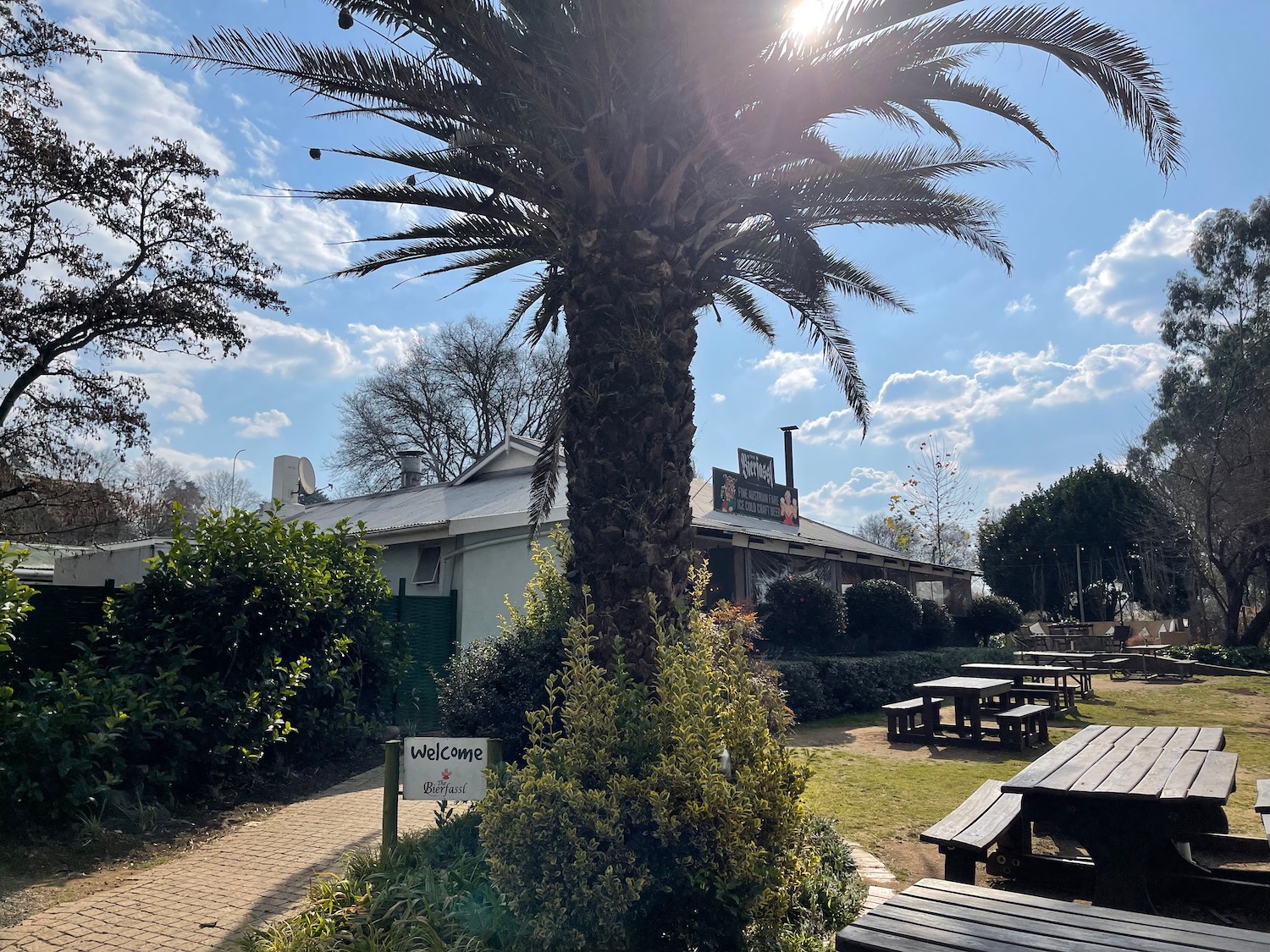 a palm tree with benches and tables in front of a building