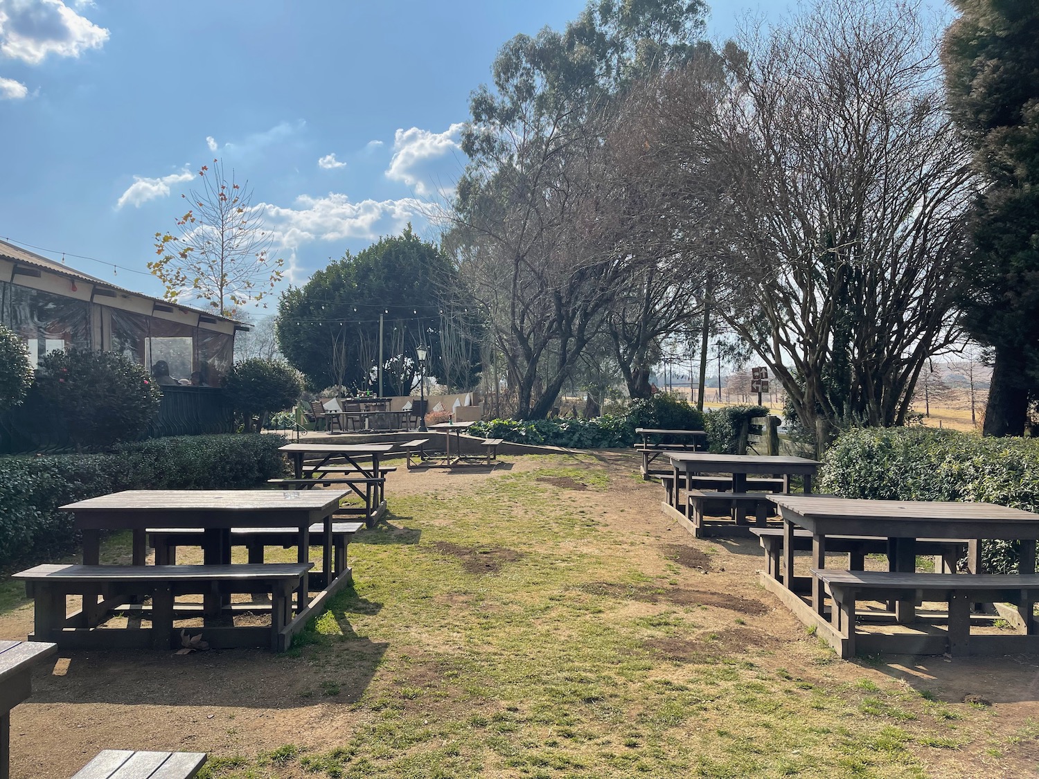 a picnic area with benches and trees