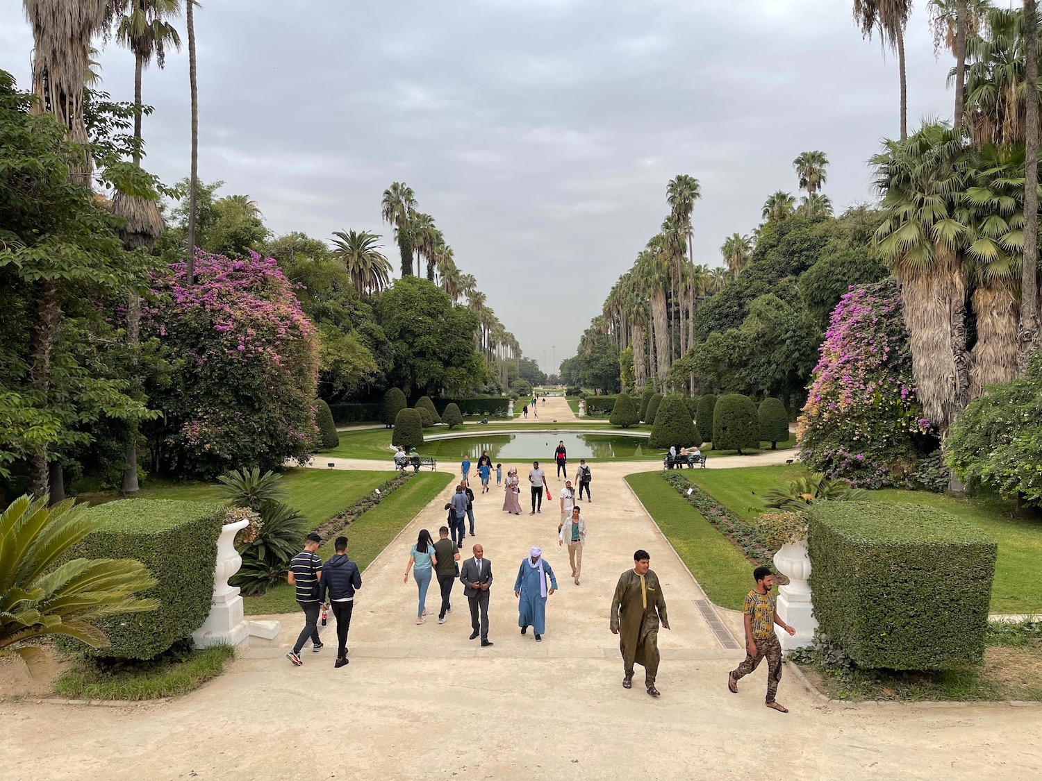 a group of people walking on a path with trees and bushes