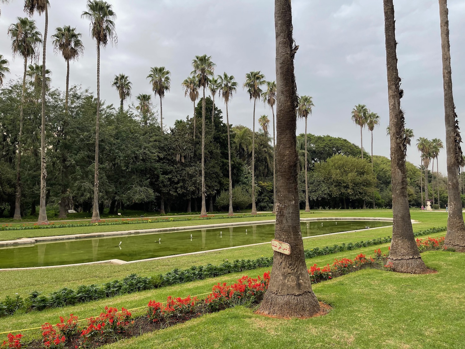 a large green lawn with trees and a pool of water