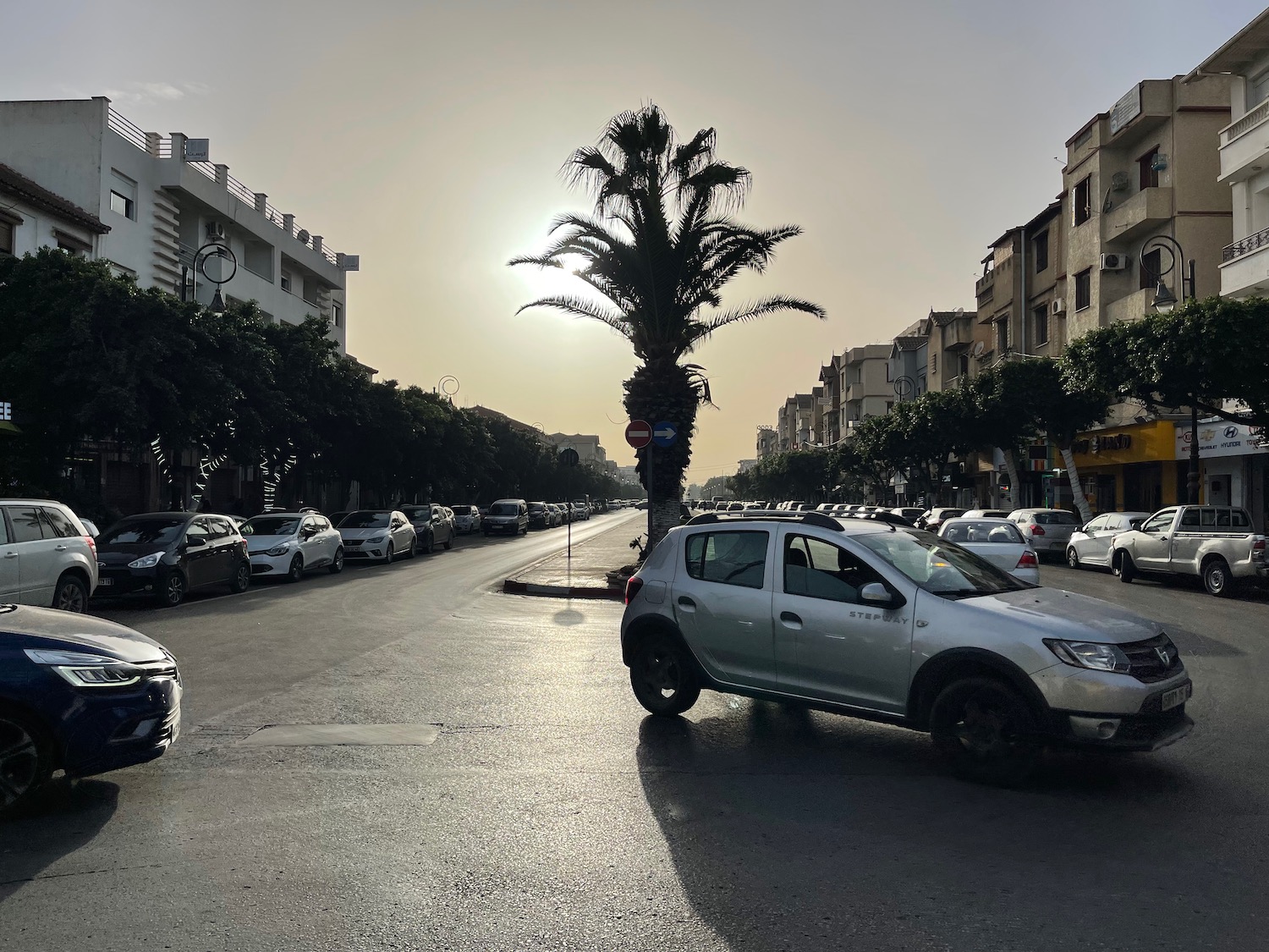 a street with cars and trees