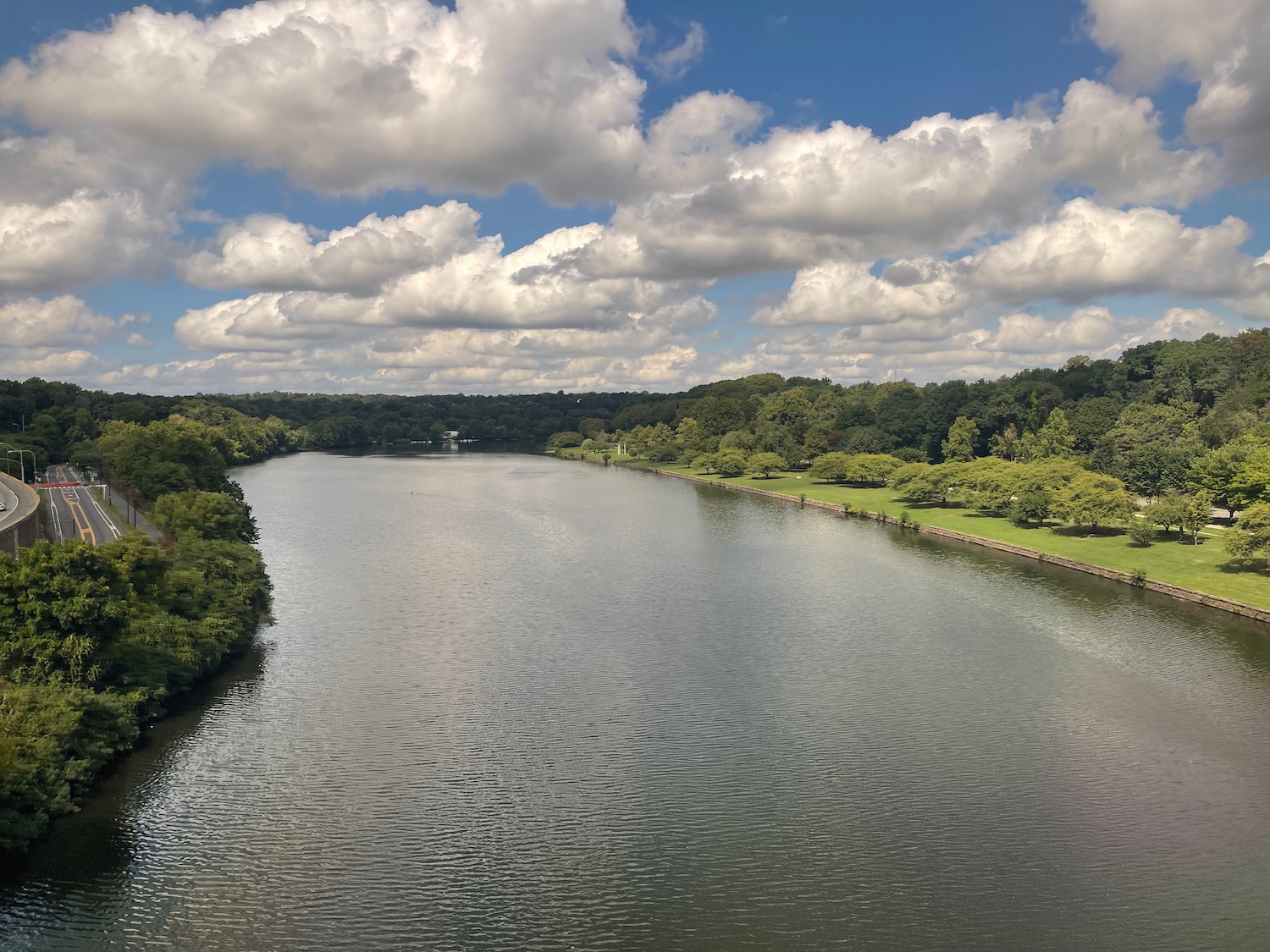 a river with trees and a cloudy sky