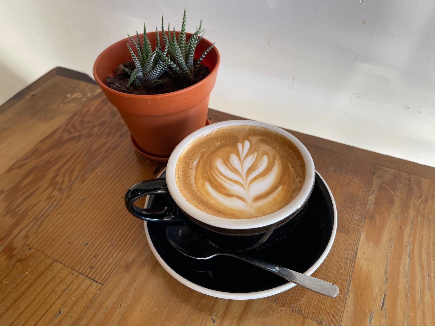 a cup of coffee with a leaf design on top of a saucer and a potted plant