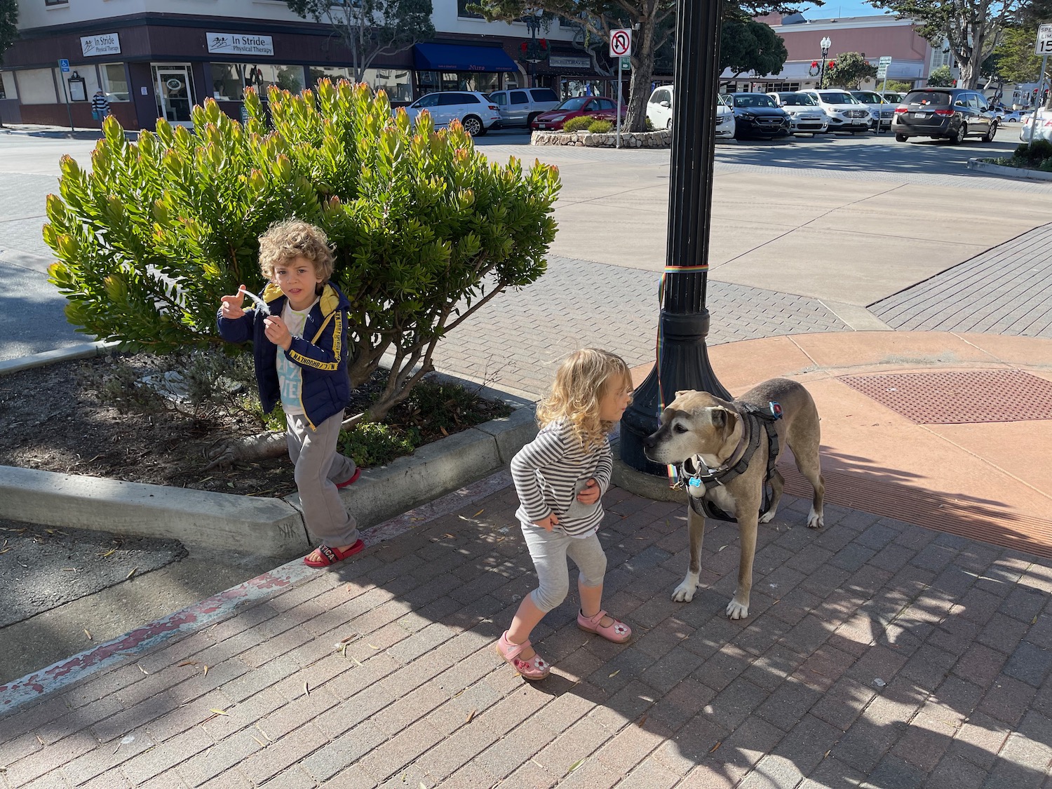 a two children standing on a sidewalk next to a dog