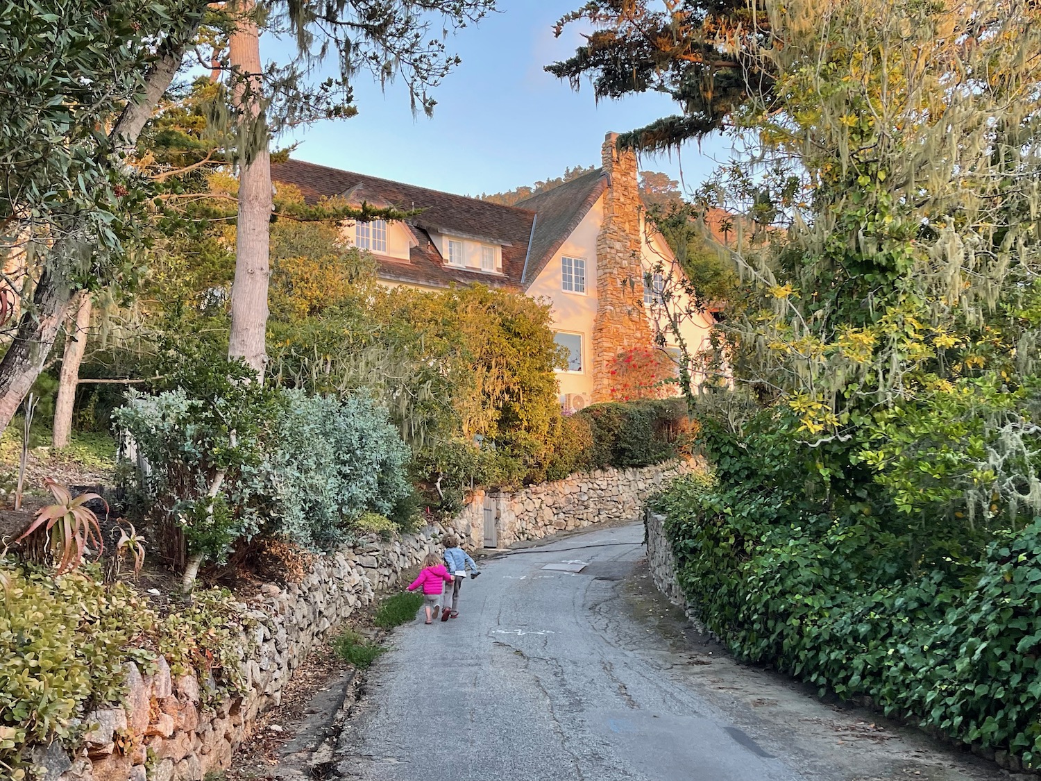 two children walking down a road with trees and bushes