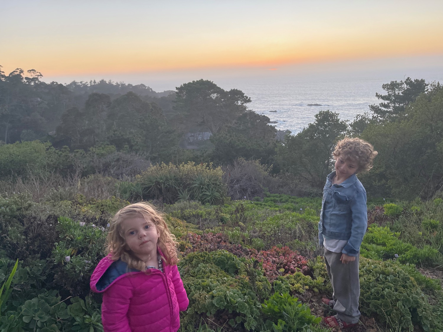 a boy and girl standing on a hill with trees and water in the background