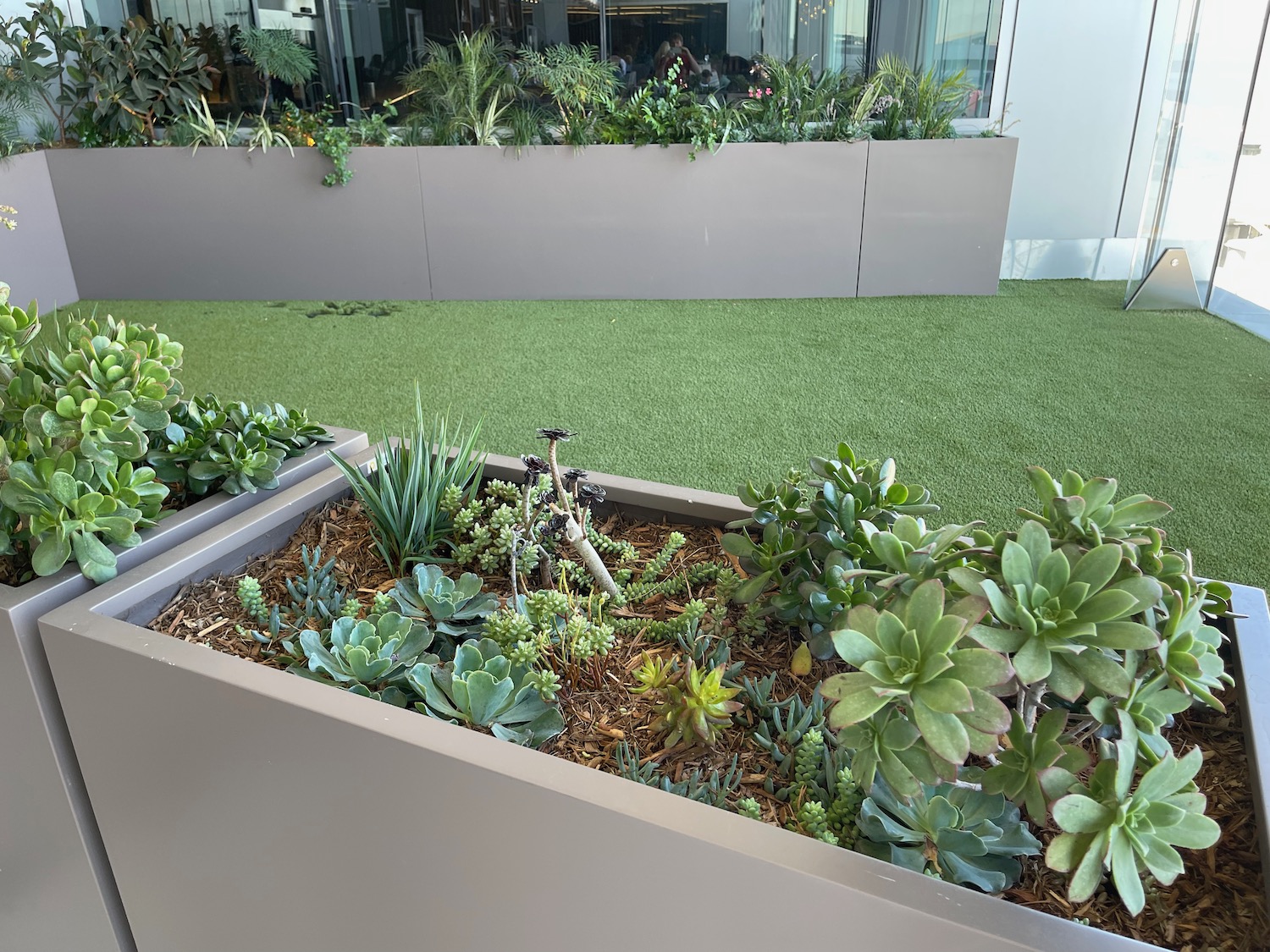 plants in a planter box