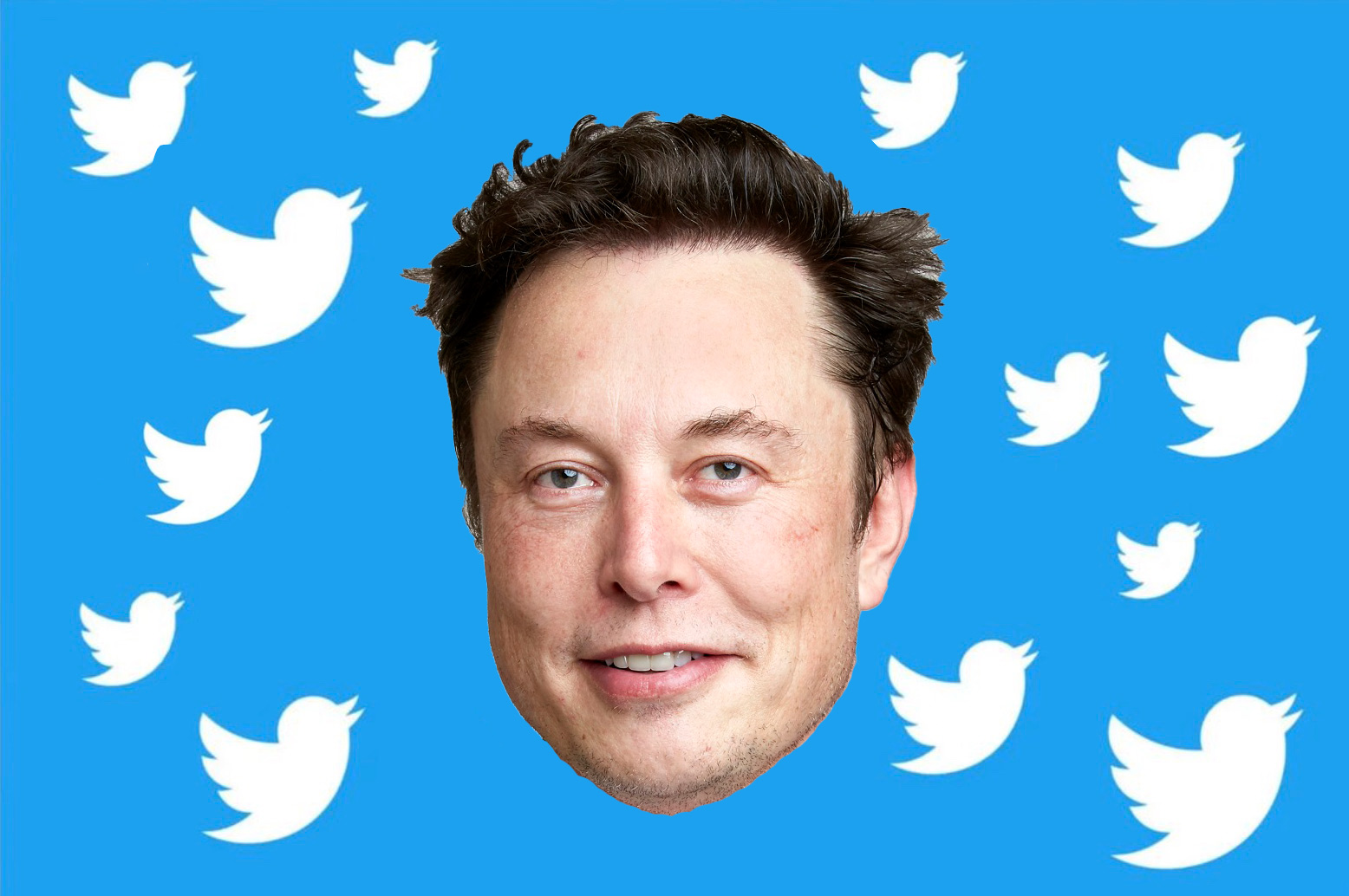 ELON MUSK HAS BOUGHT TWITTER HAVE A TOUR OF HIS PRIVATE JET - Uganda Update  News