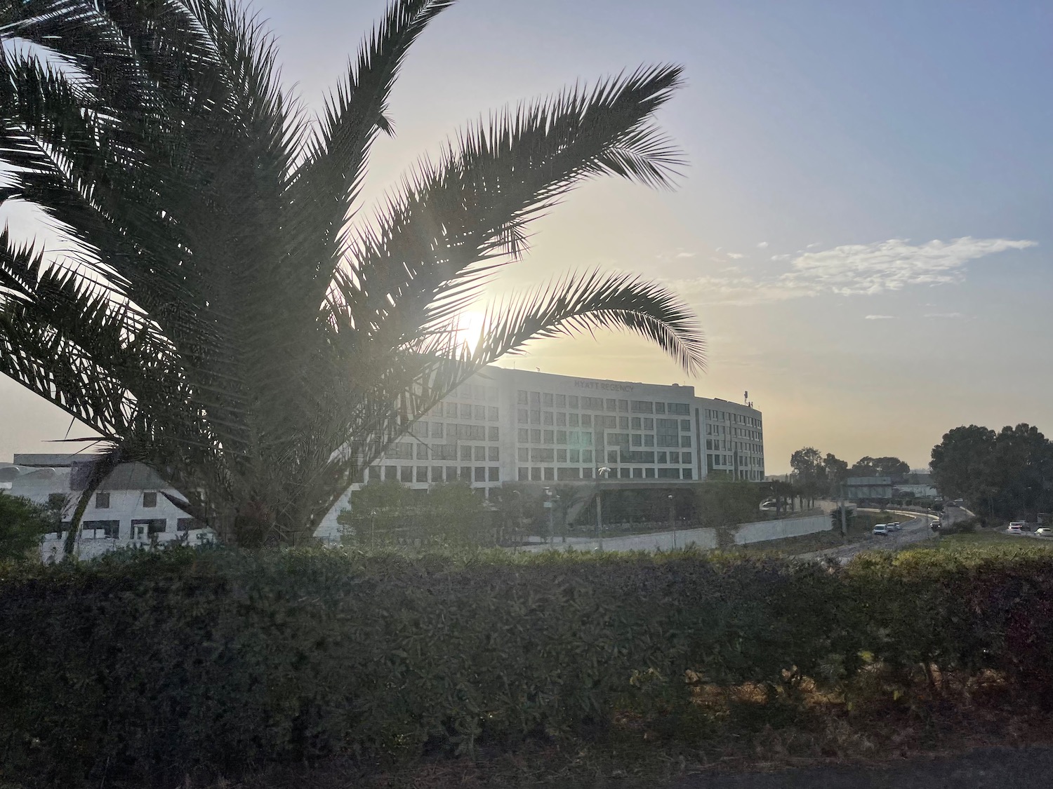 a palm tree and building with a road and blue sky