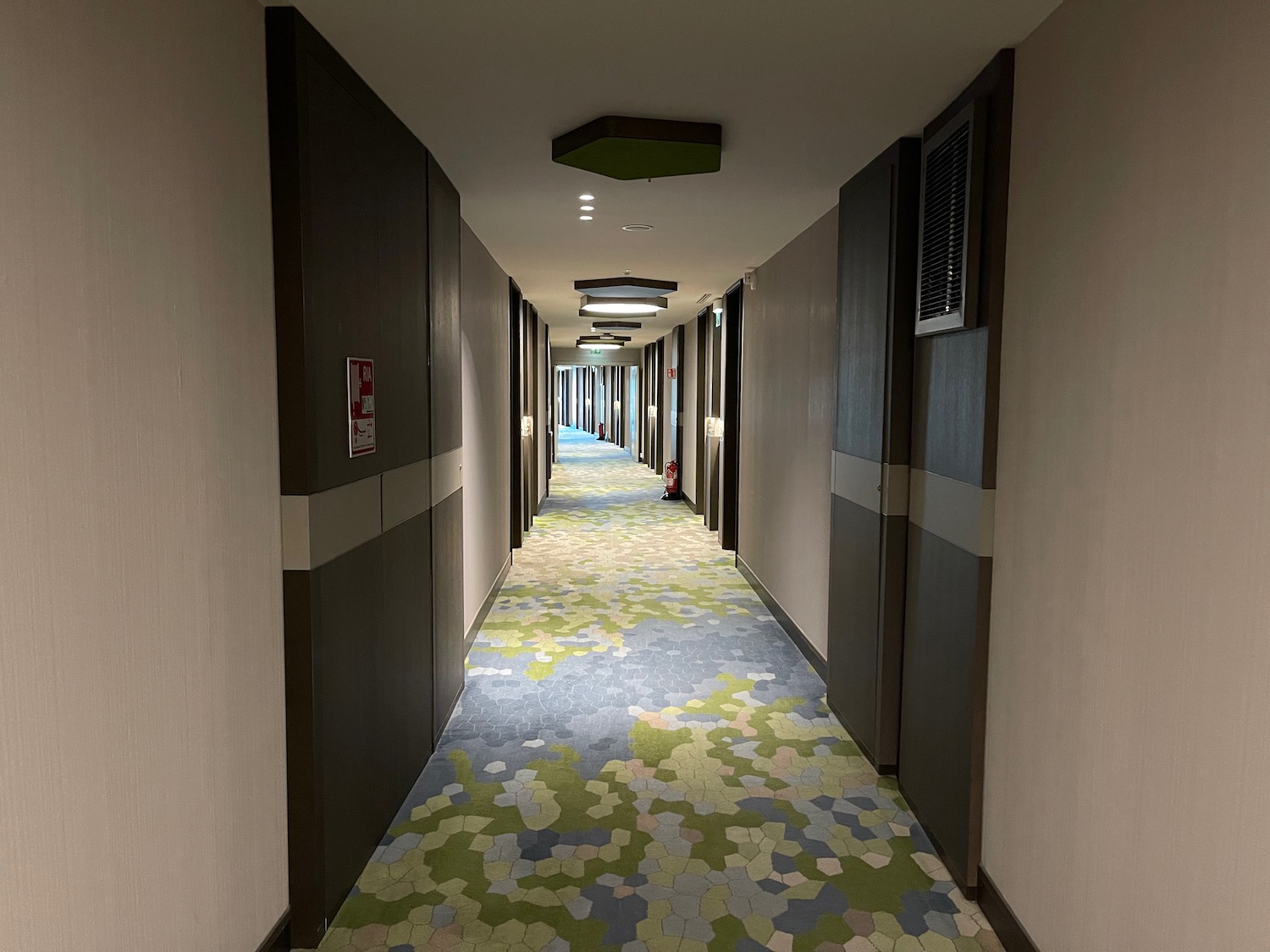 a hallway with a colorful carpet