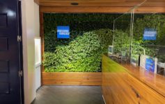 American Express Centurion Lounge Dallas Review