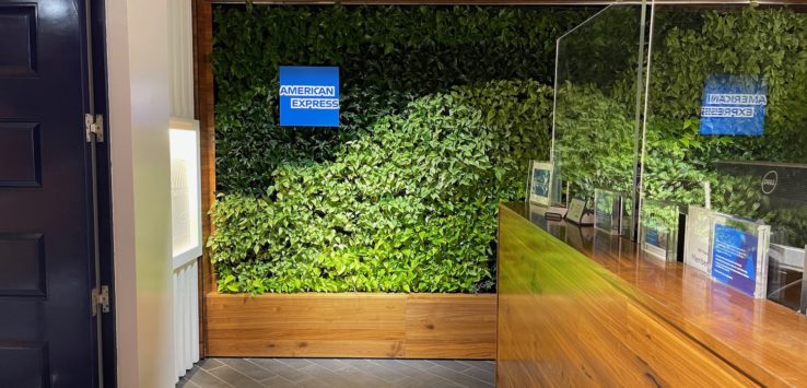 a green wall with a glass case