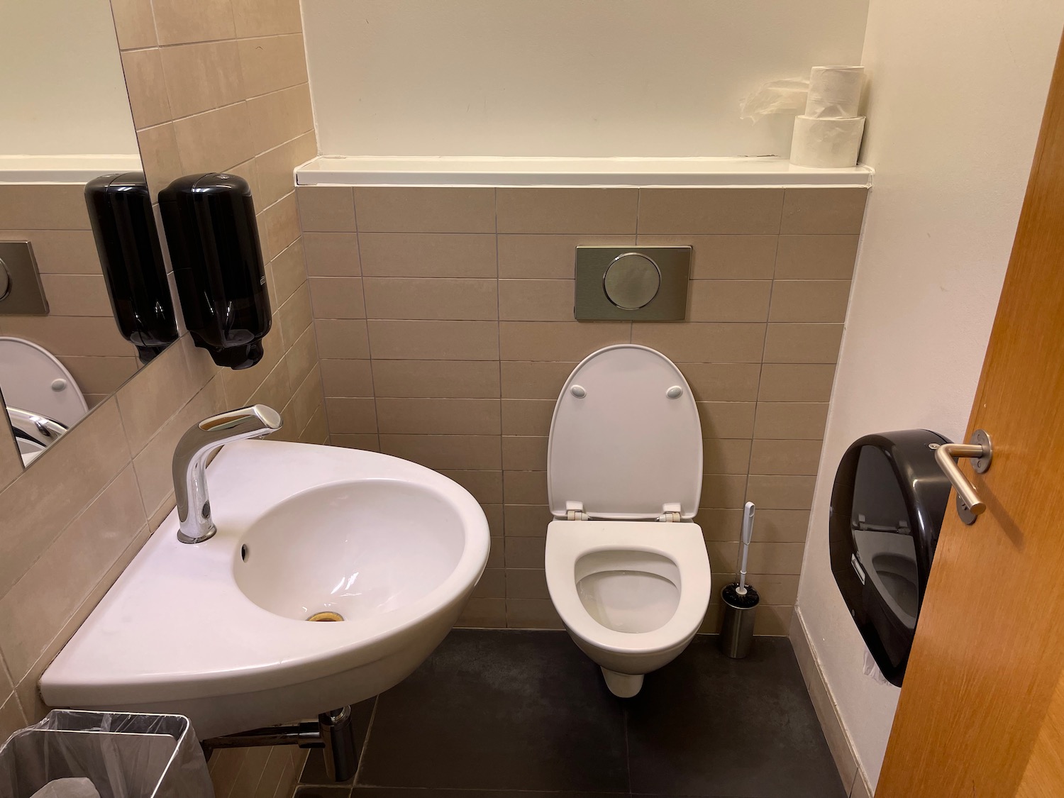 a bathroom with a sink and toilet