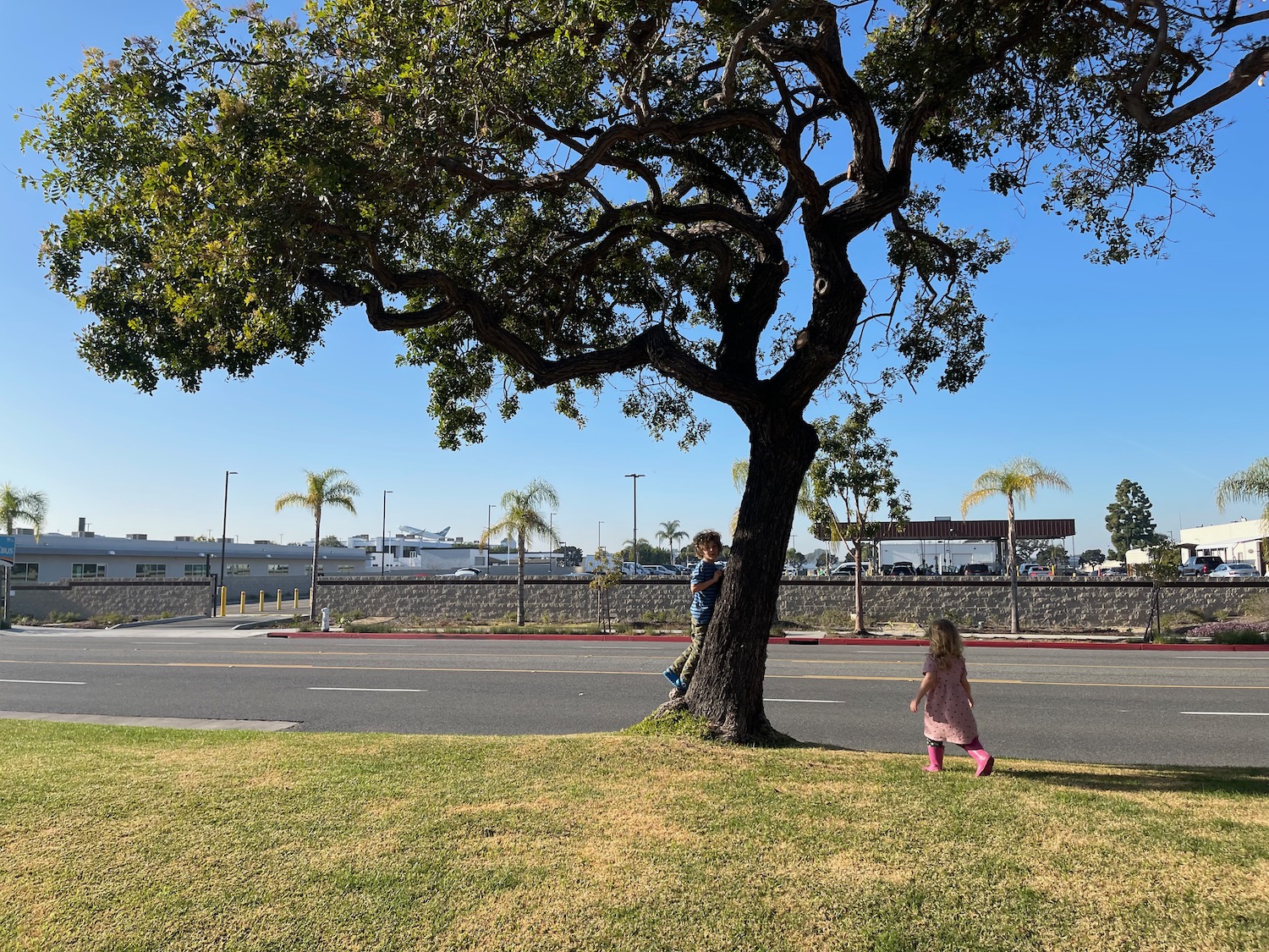 a two children climbing a tree