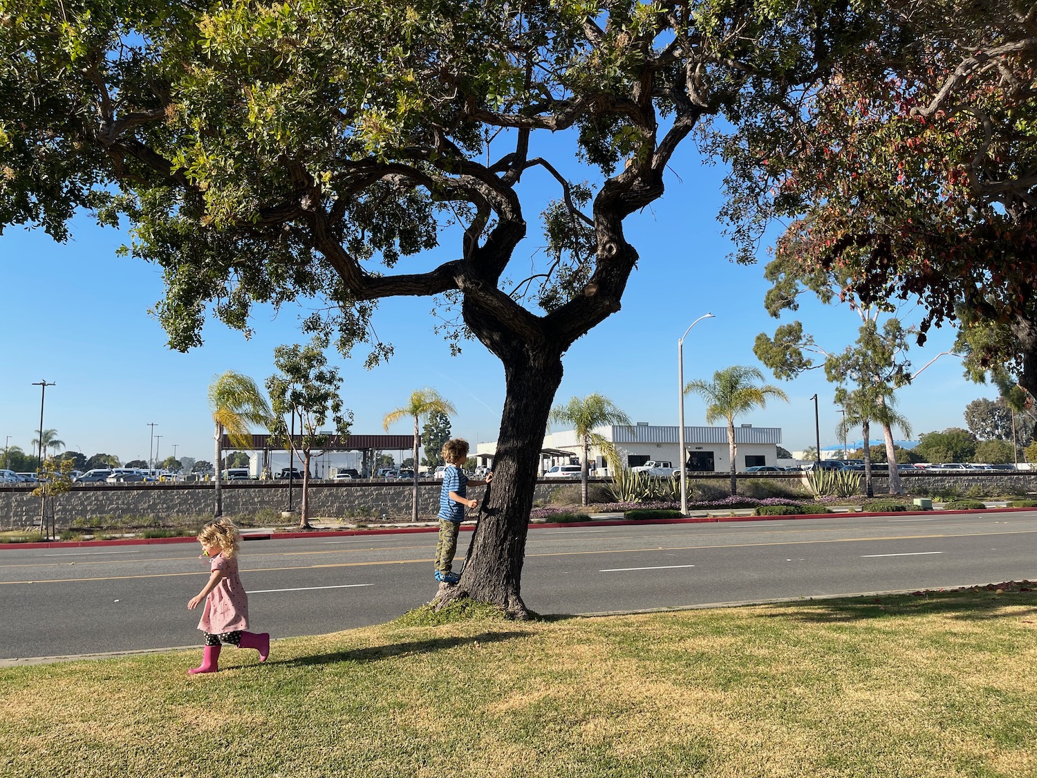 a two children standing on a tree