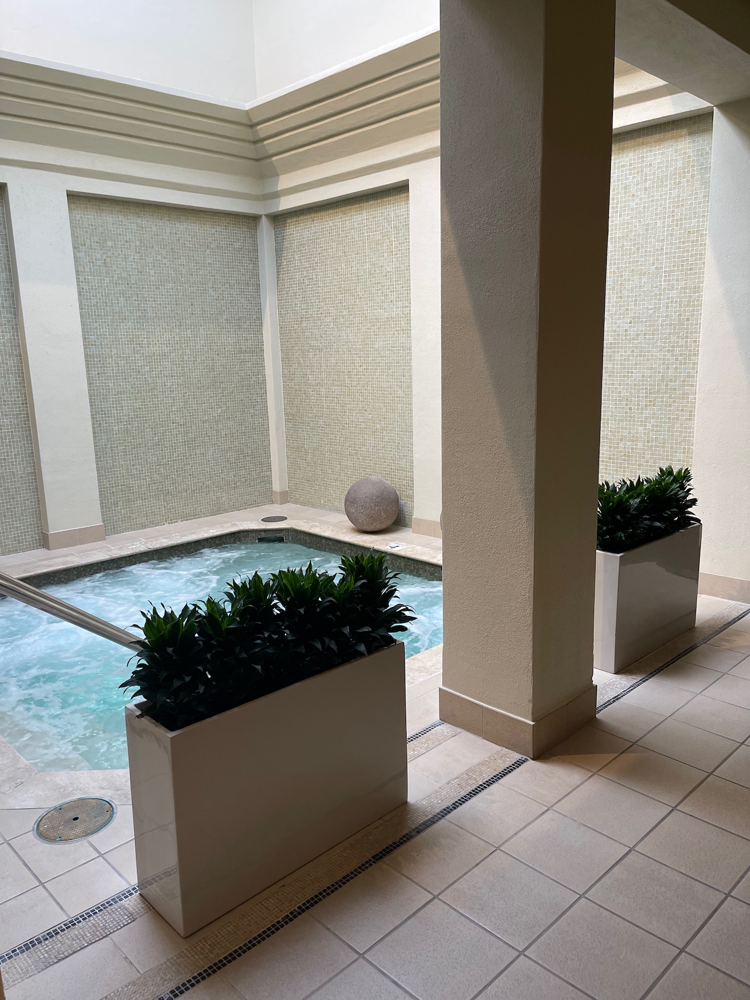 a indoor hot tub with a stone ball and plants