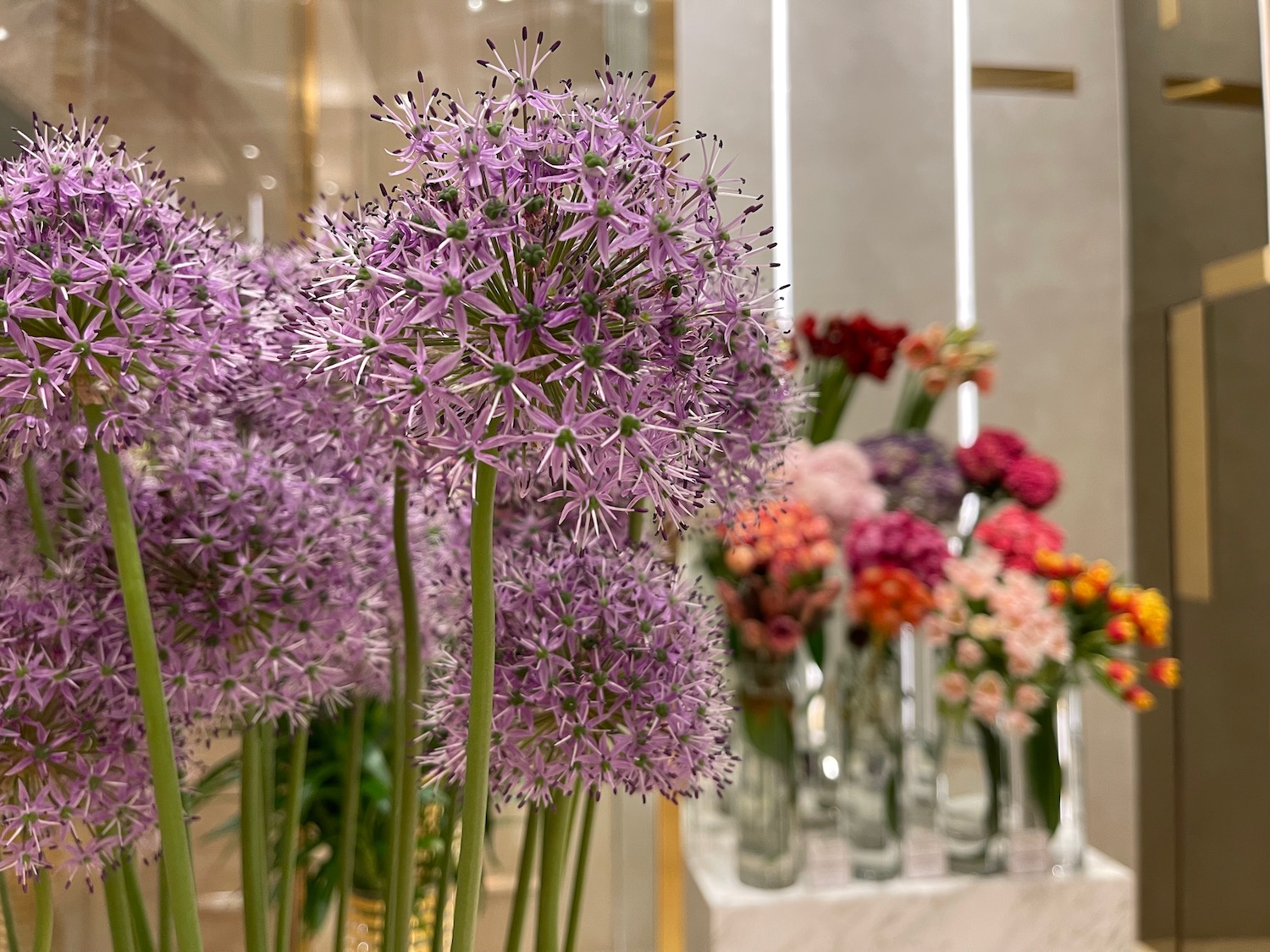 a group of flowers in a room