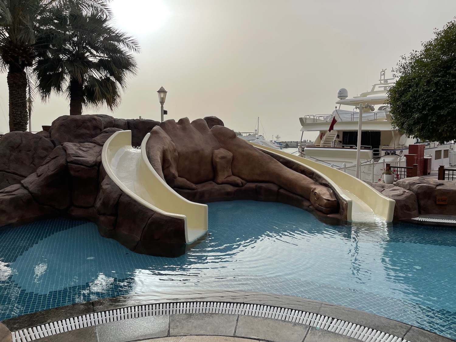 a water slide with a rock wall and a palm tree