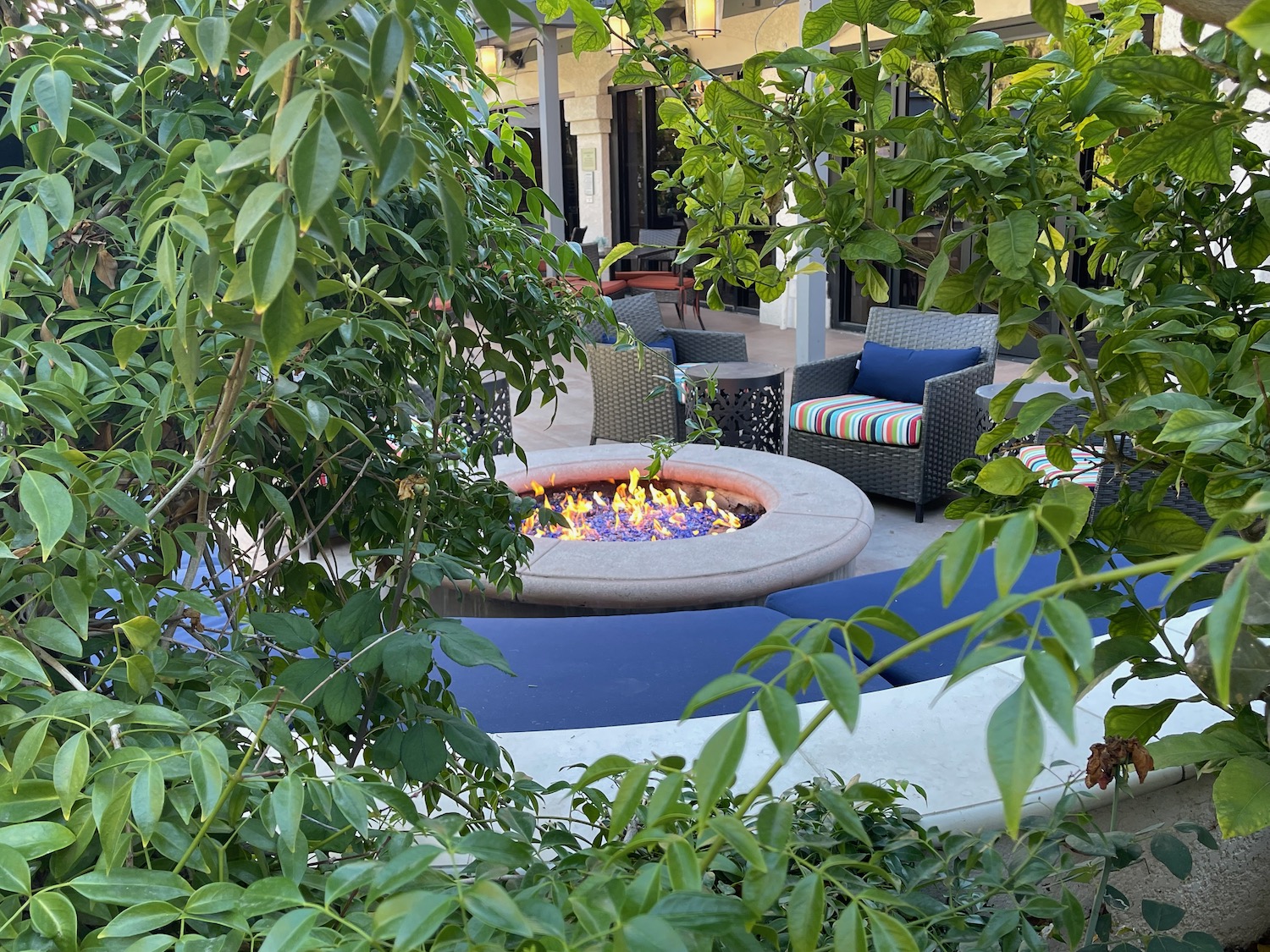 a fire pit surrounded by chairs and trees